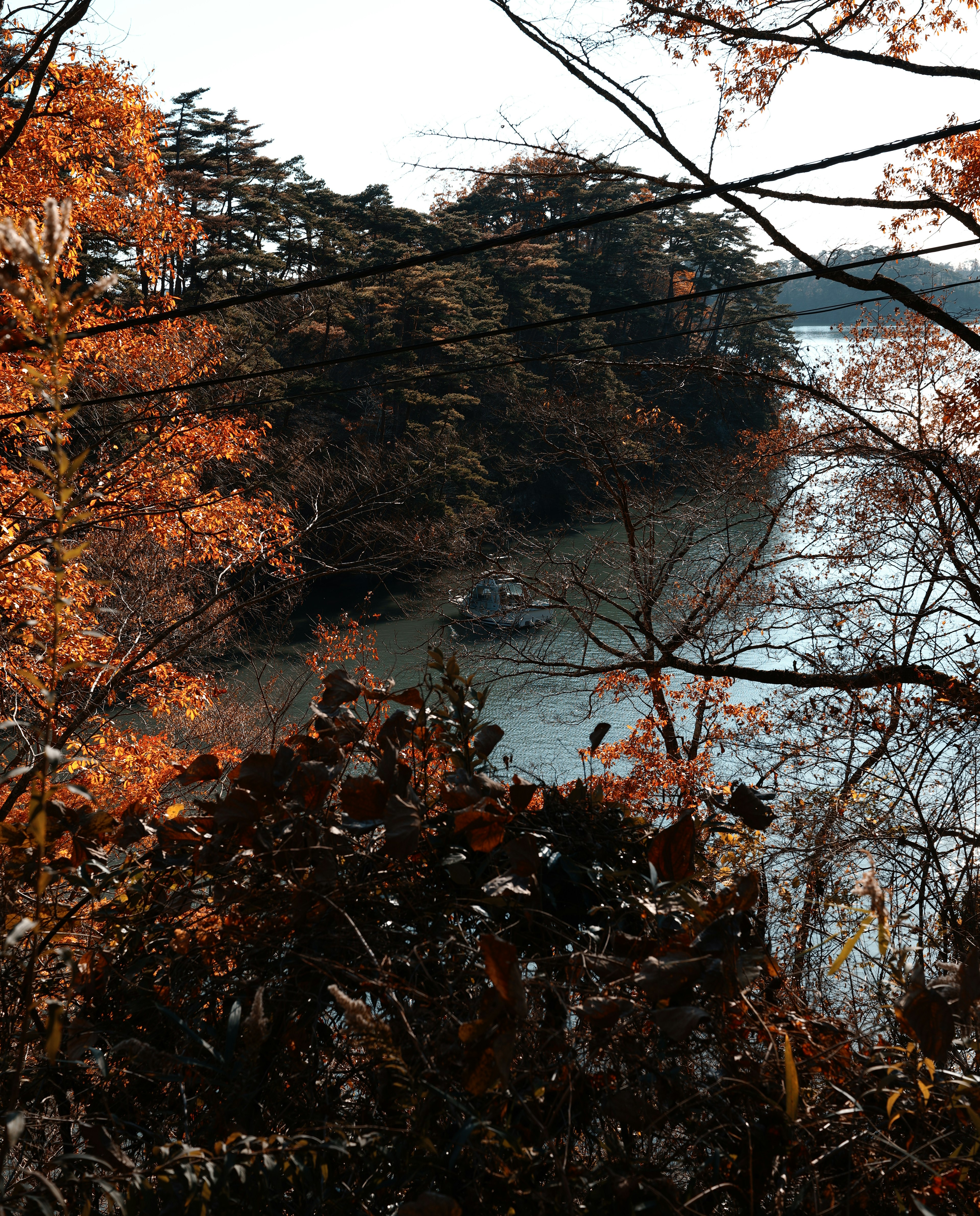 秋の風景に囲まれた湖の岸辺の景色