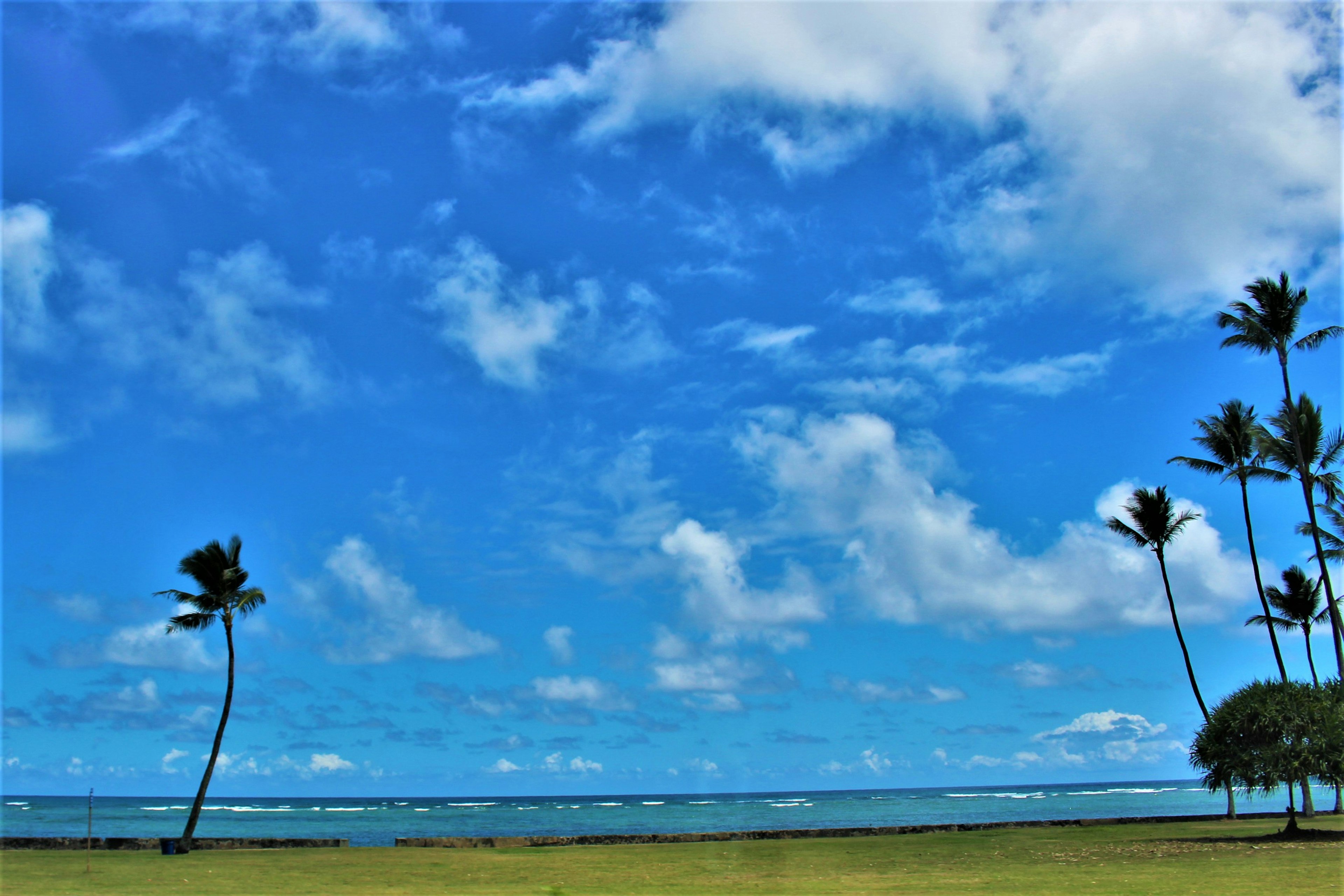 Küstenlandschaft mit blauem Himmel und Wolken Palmen