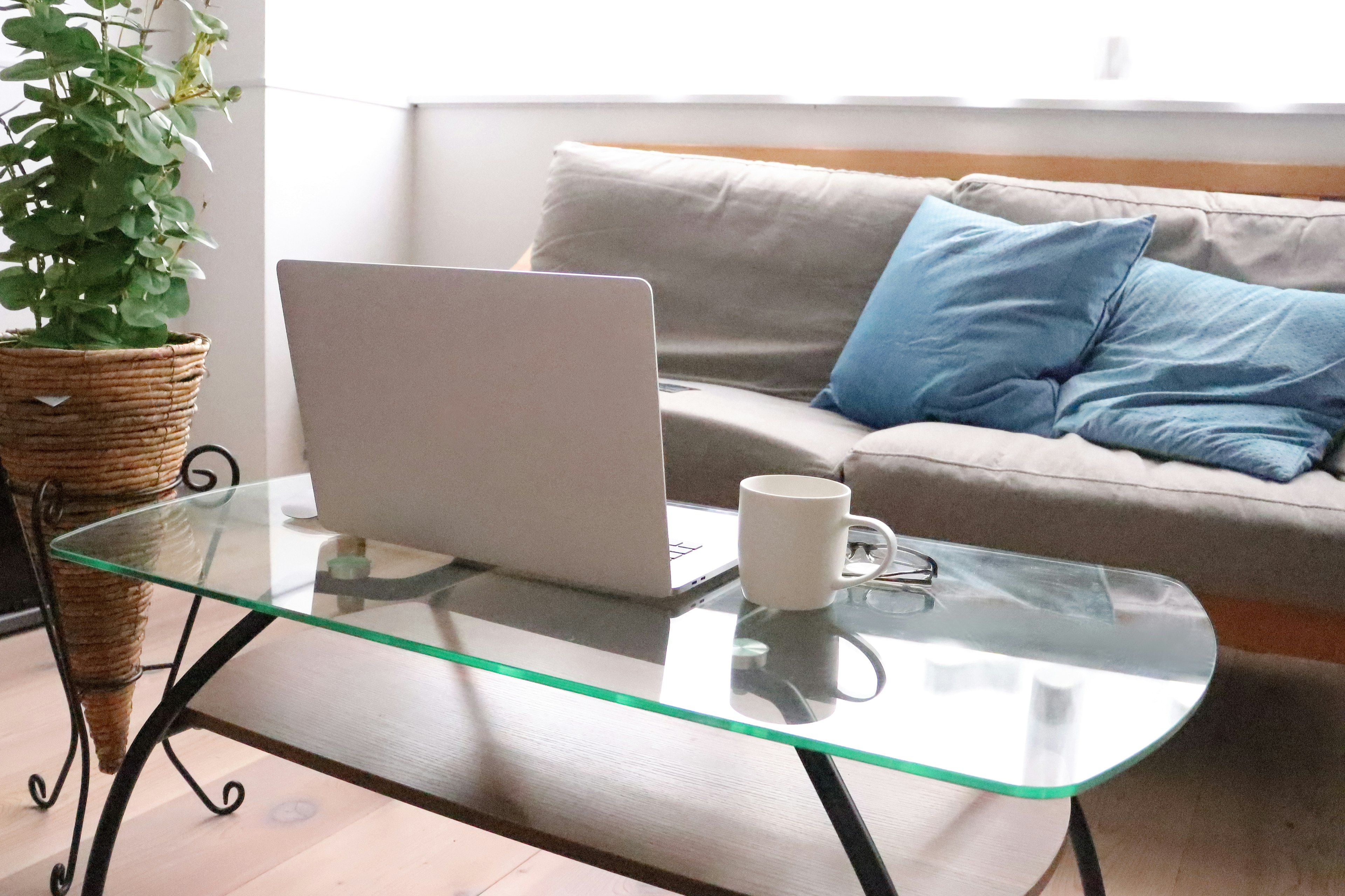 Salon confortable avec une table en verre et un ordinateur portable devant un canapé avec des coussins bleus et une plante