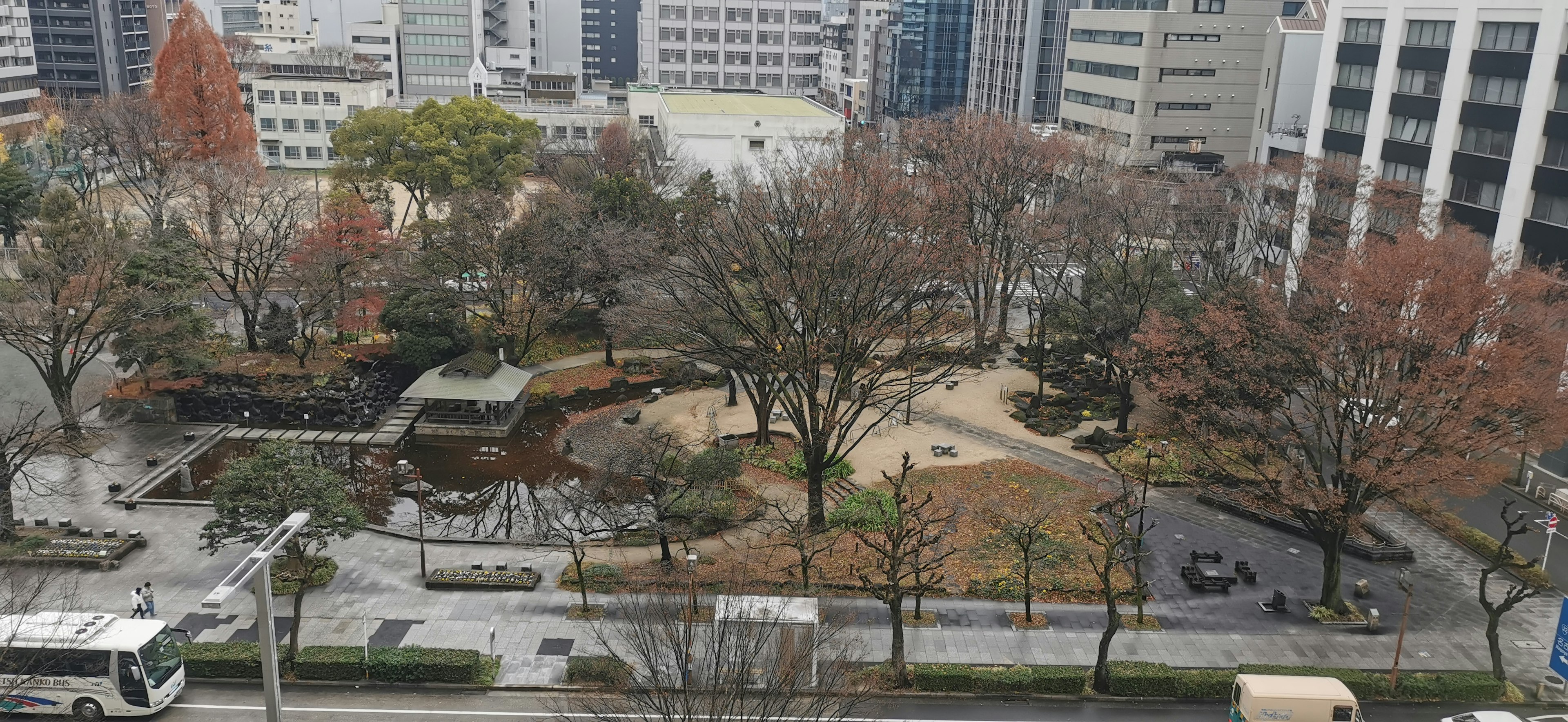 Vista invernale di un parco urbano con alberi spogli e erba visibile