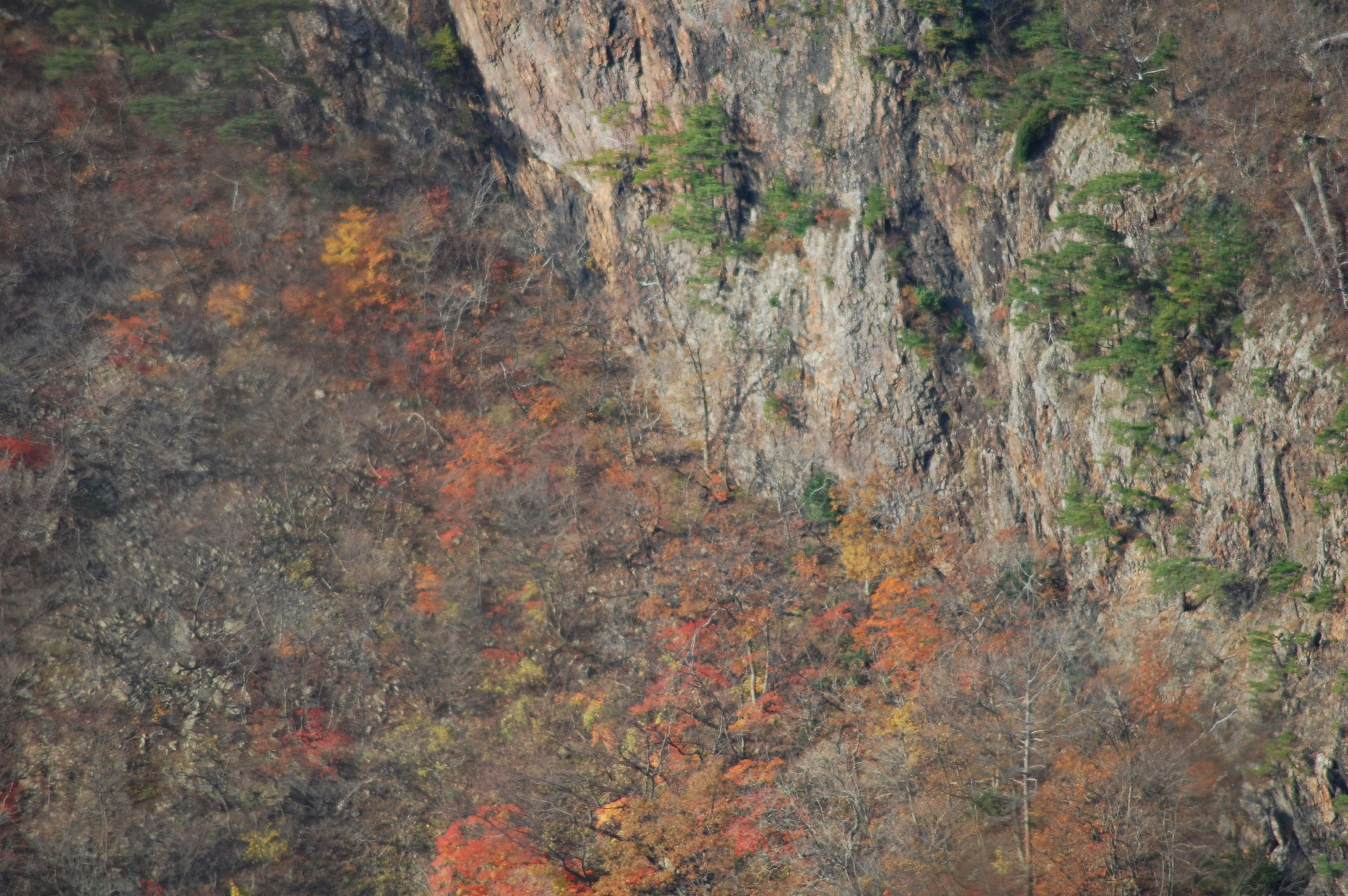 Scenic view of a rocky cliff with autumn foliage