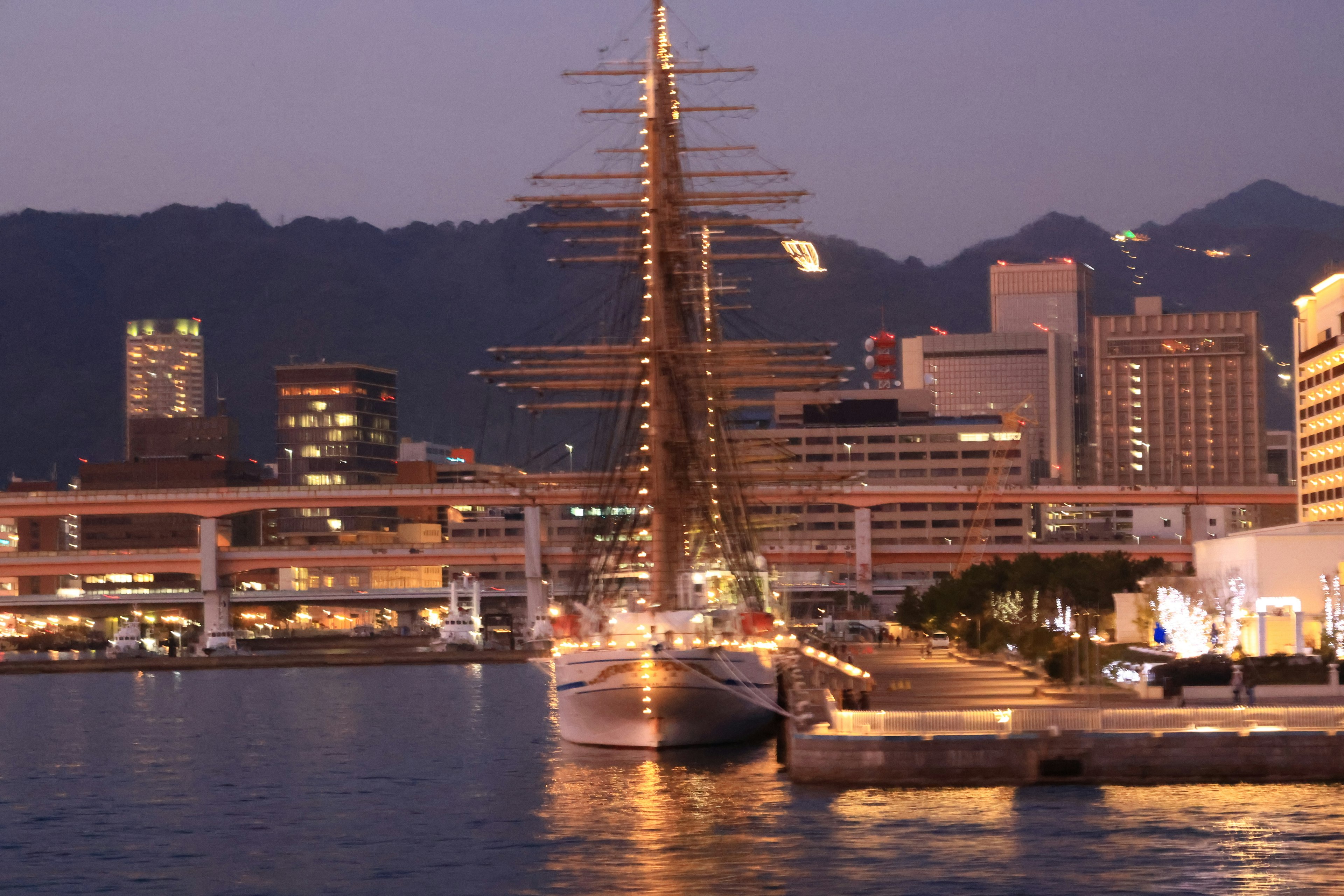 A beautiful sailing ship docked at the harbor at night with city skyline in the background