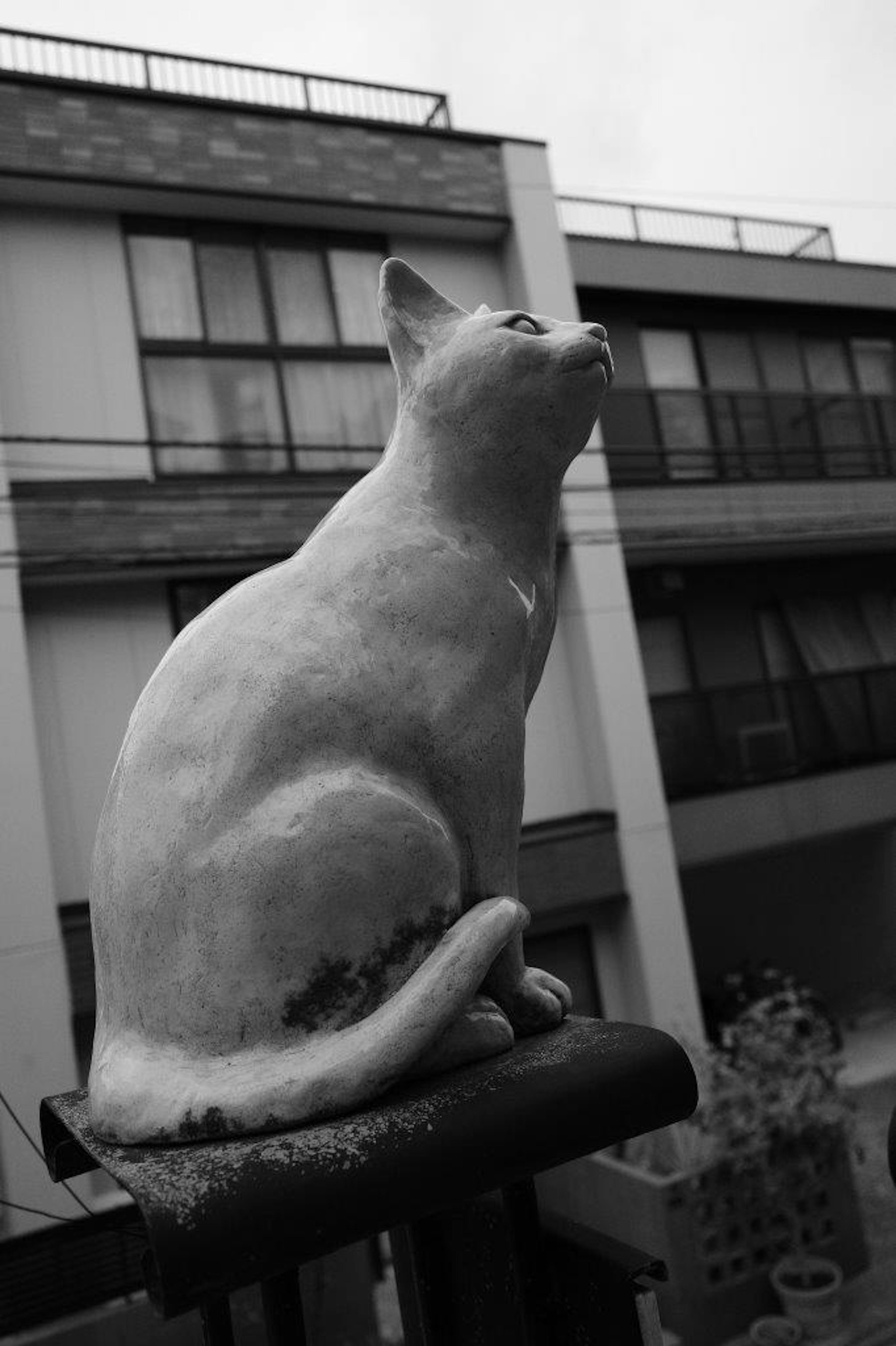 Escultura de gato blanco expuesta al aire libre