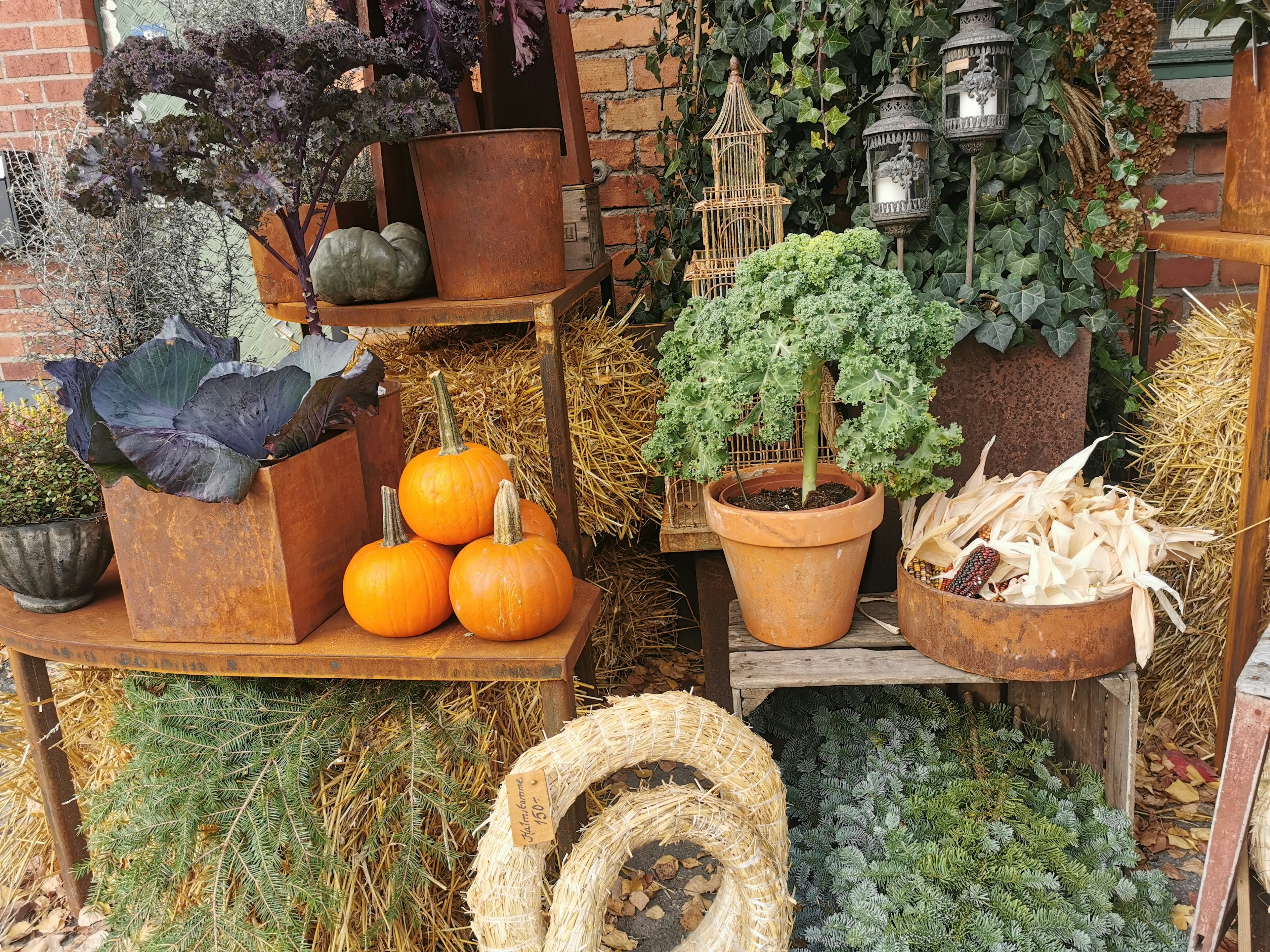 Herbstdeko mit bunten Kürbissen und grünen Pflanzen im Freien angeordnet