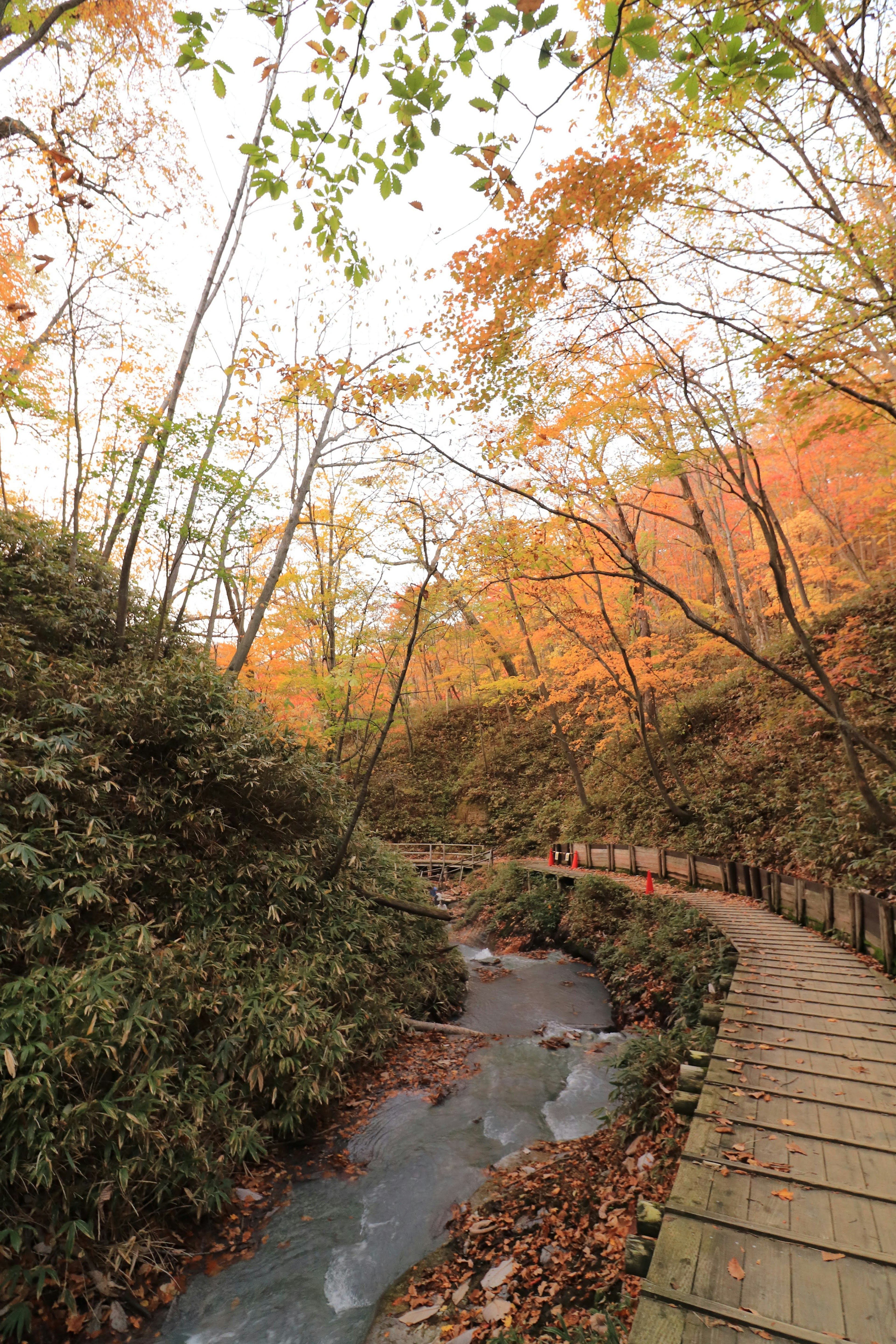 Scenic pathway along a stream surrounded by autumn foliage