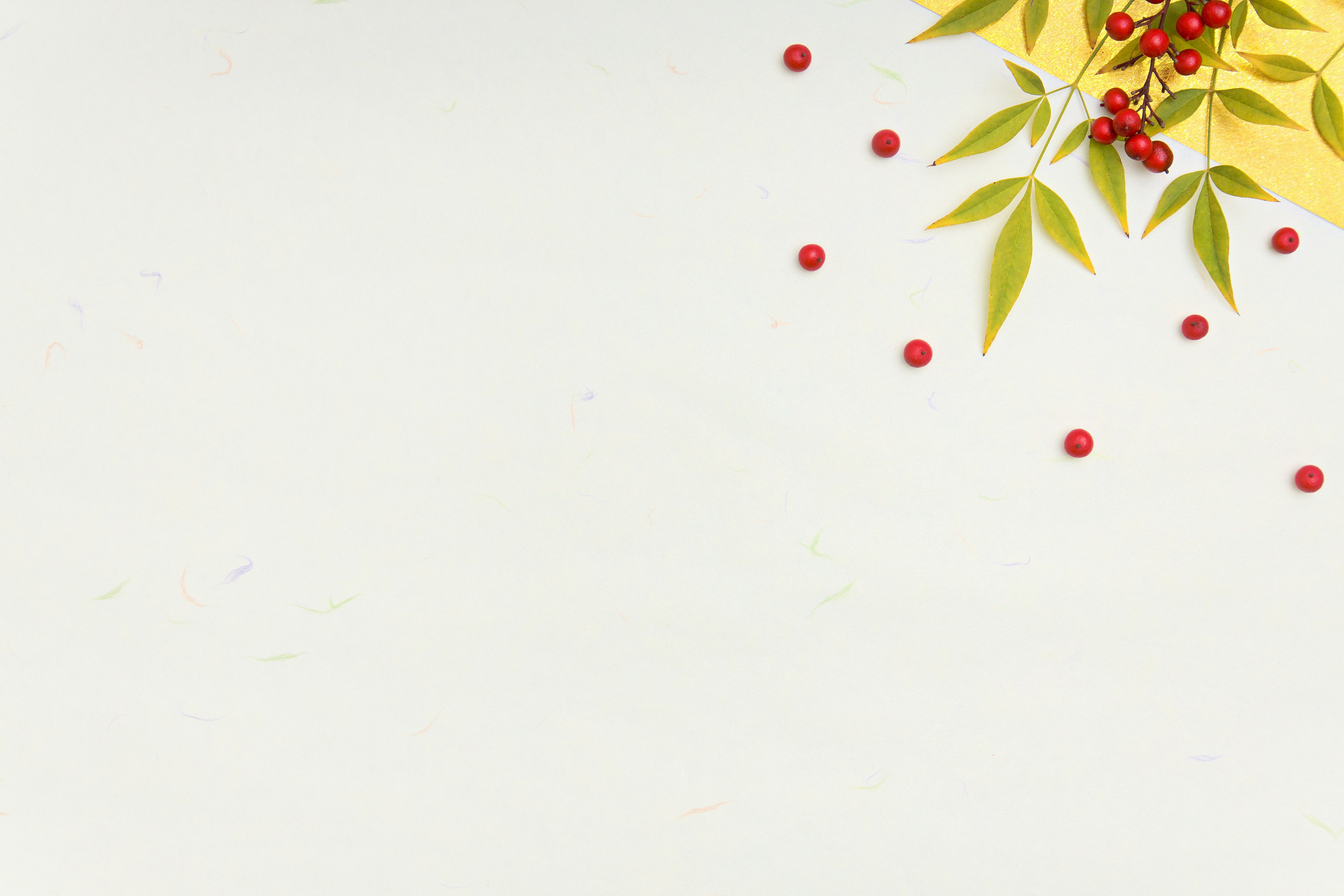 White background with red berries and green leaves decoration