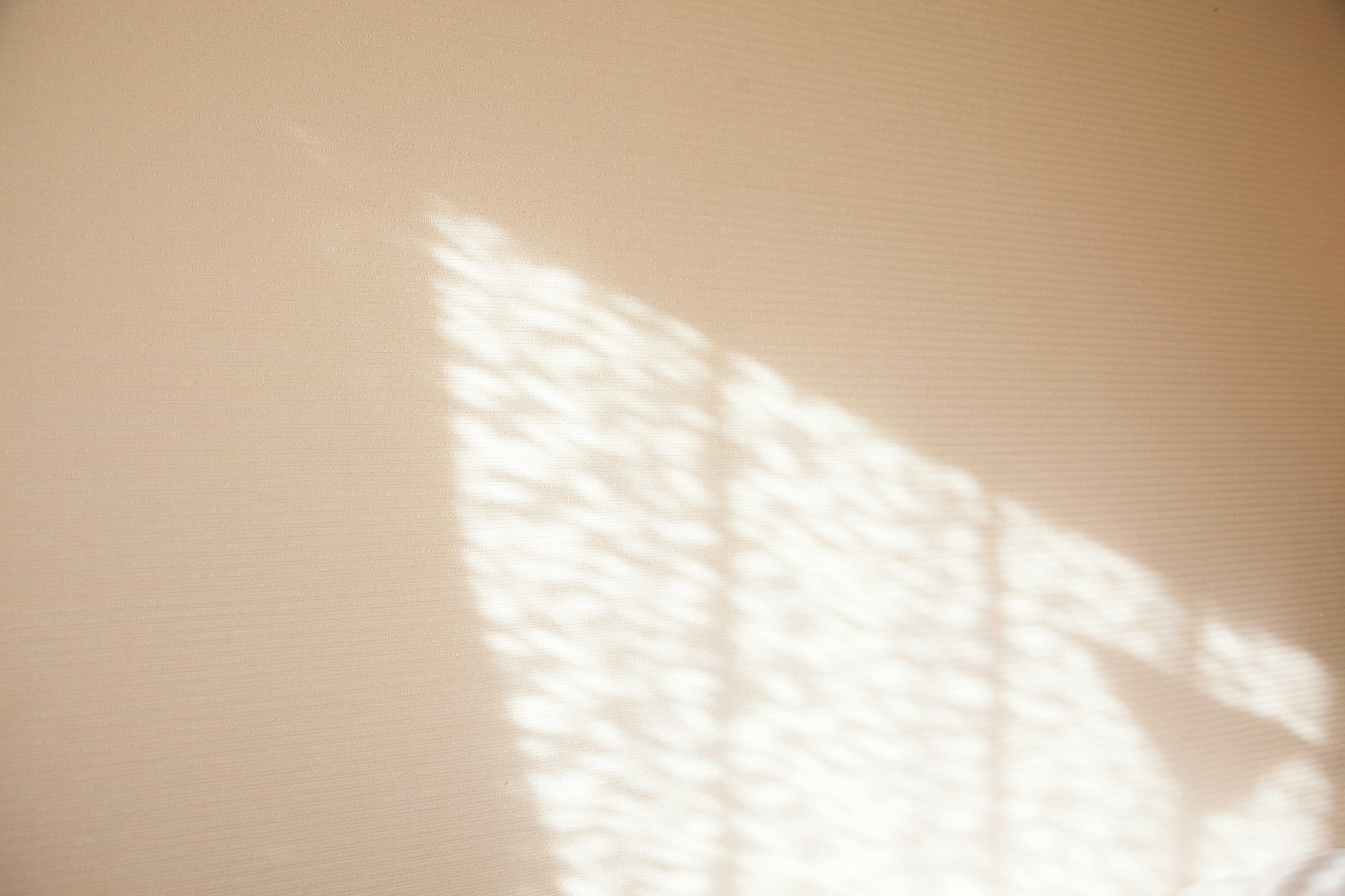 Soft light casting a patterned shadow on a wall