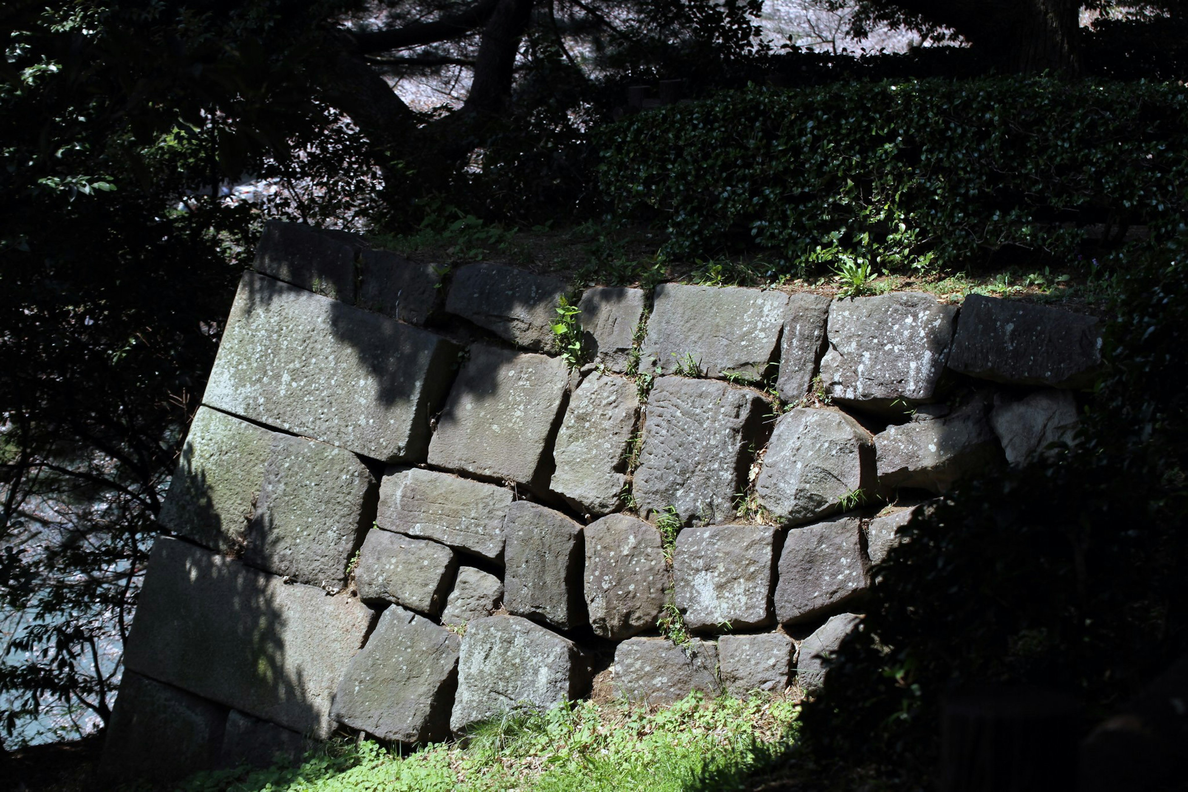 A weathered stone wall partially covered by grass and shadows