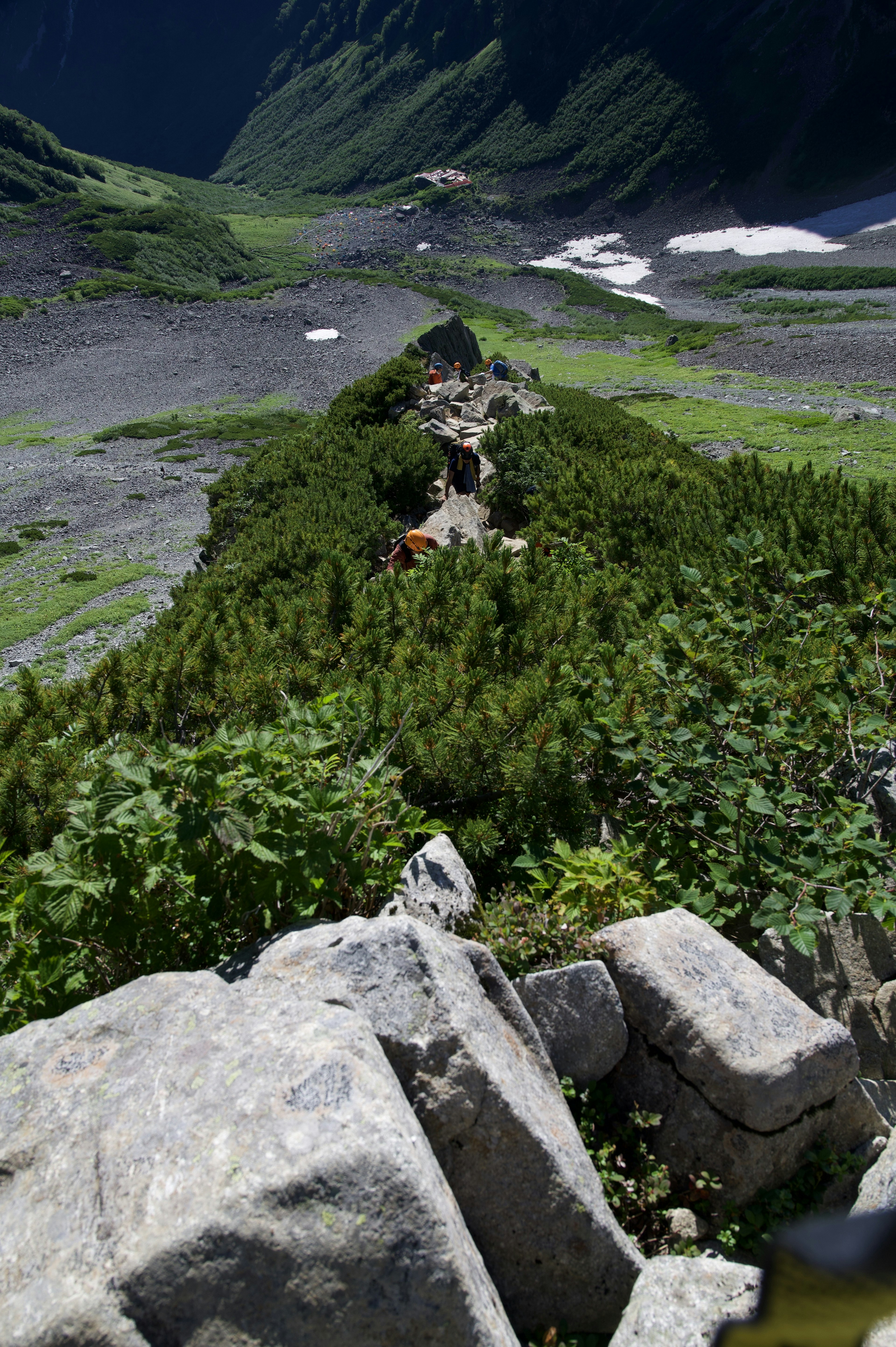 郁郁葱葱的山谷景观，岩石小径穿过绿色植物