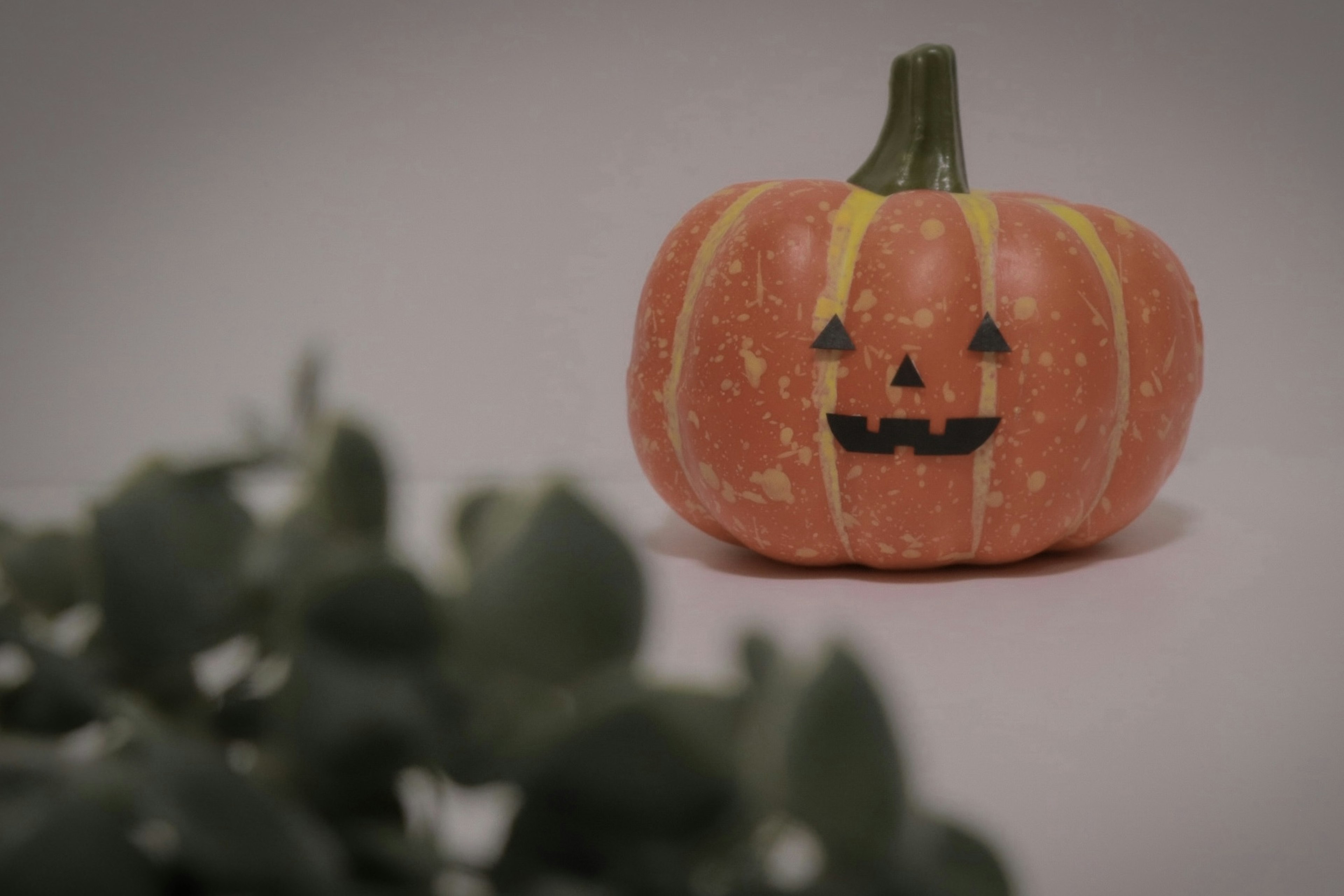 Pequeña calabaza con cara de jack-o'-lantern y planta verde en primer plano