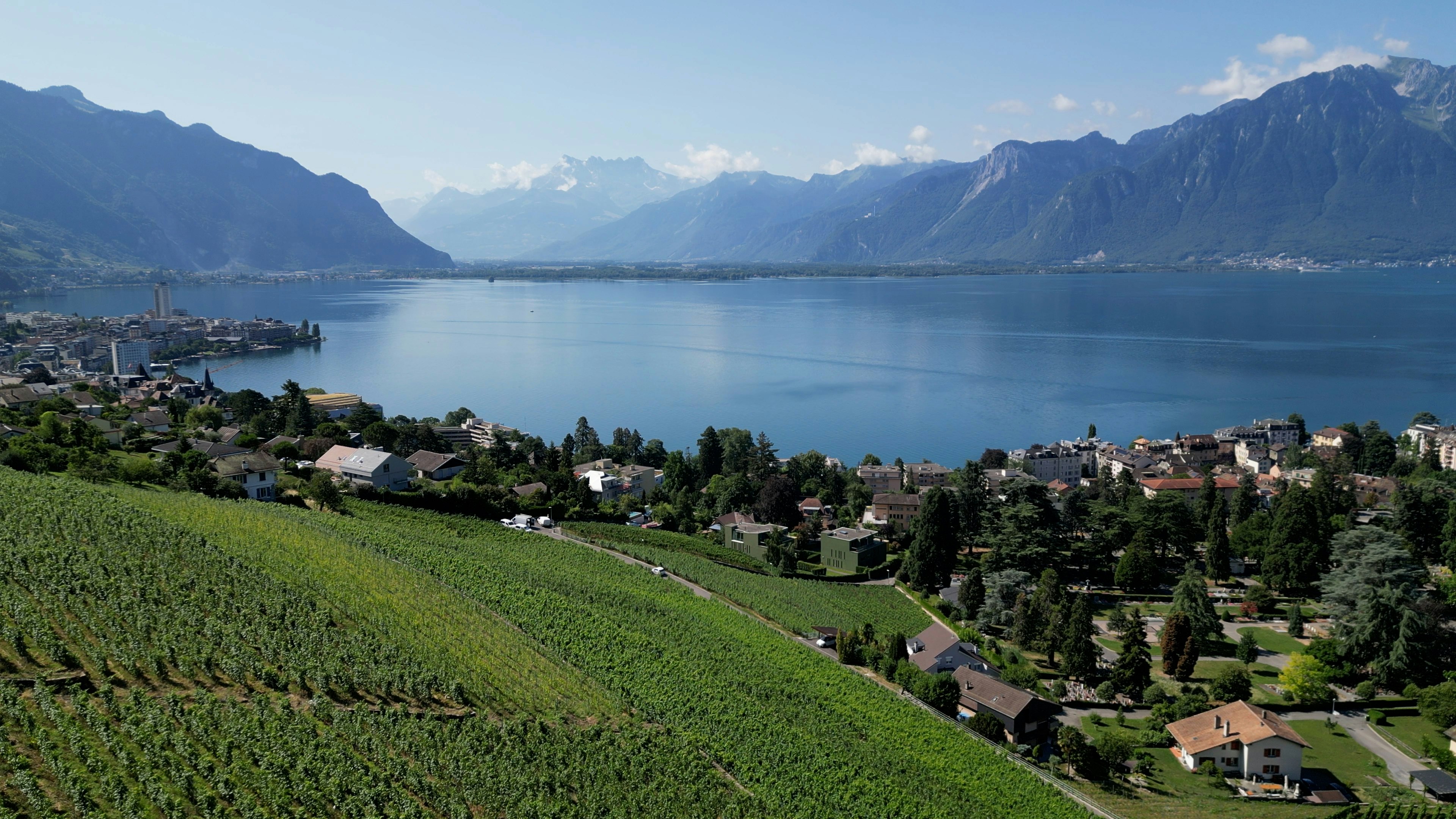 Scenic view of vineyards and houses near a tranquil lake surrounded by mountains