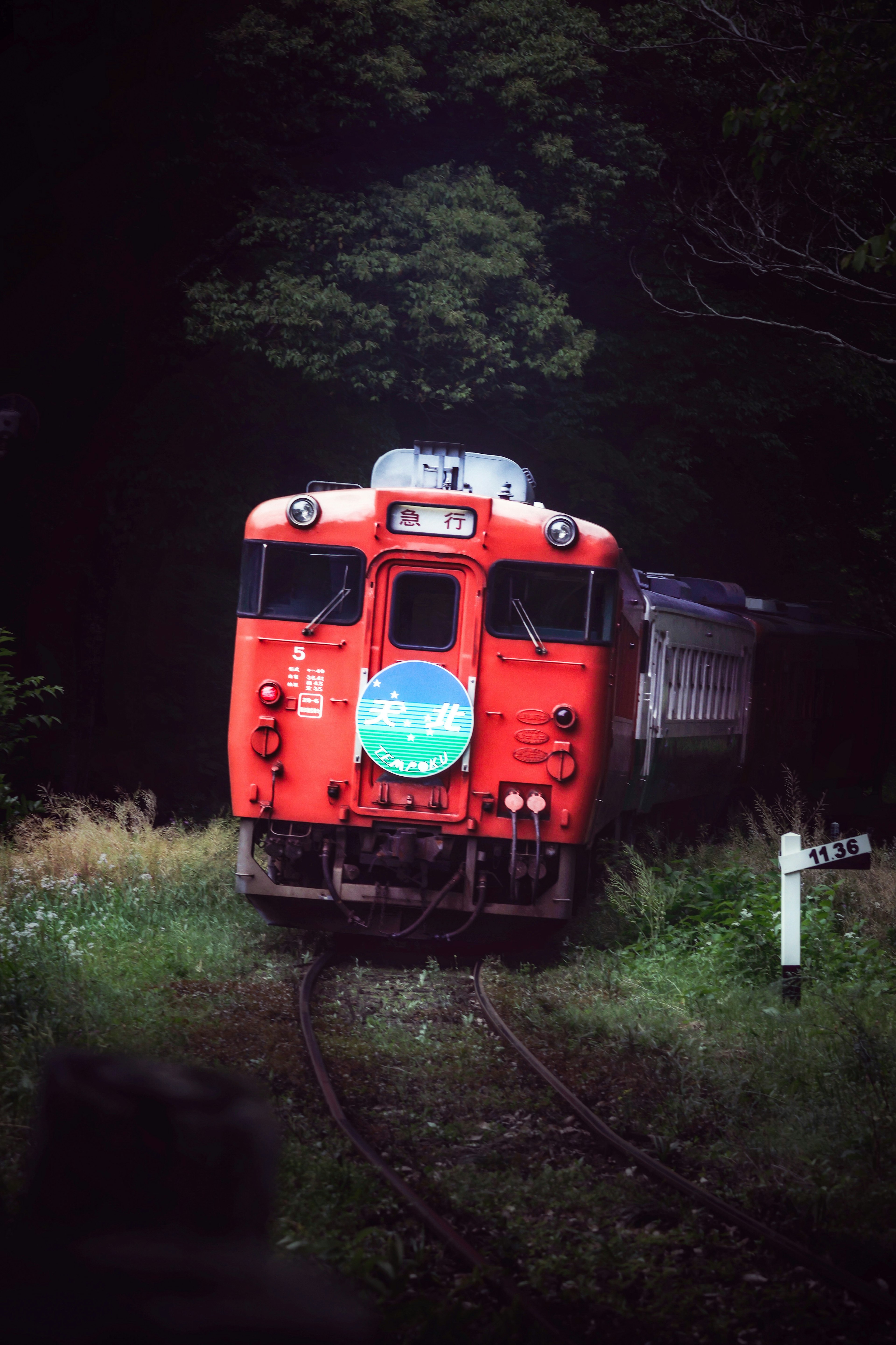 一列紅色火車穿過綠色森林的風景