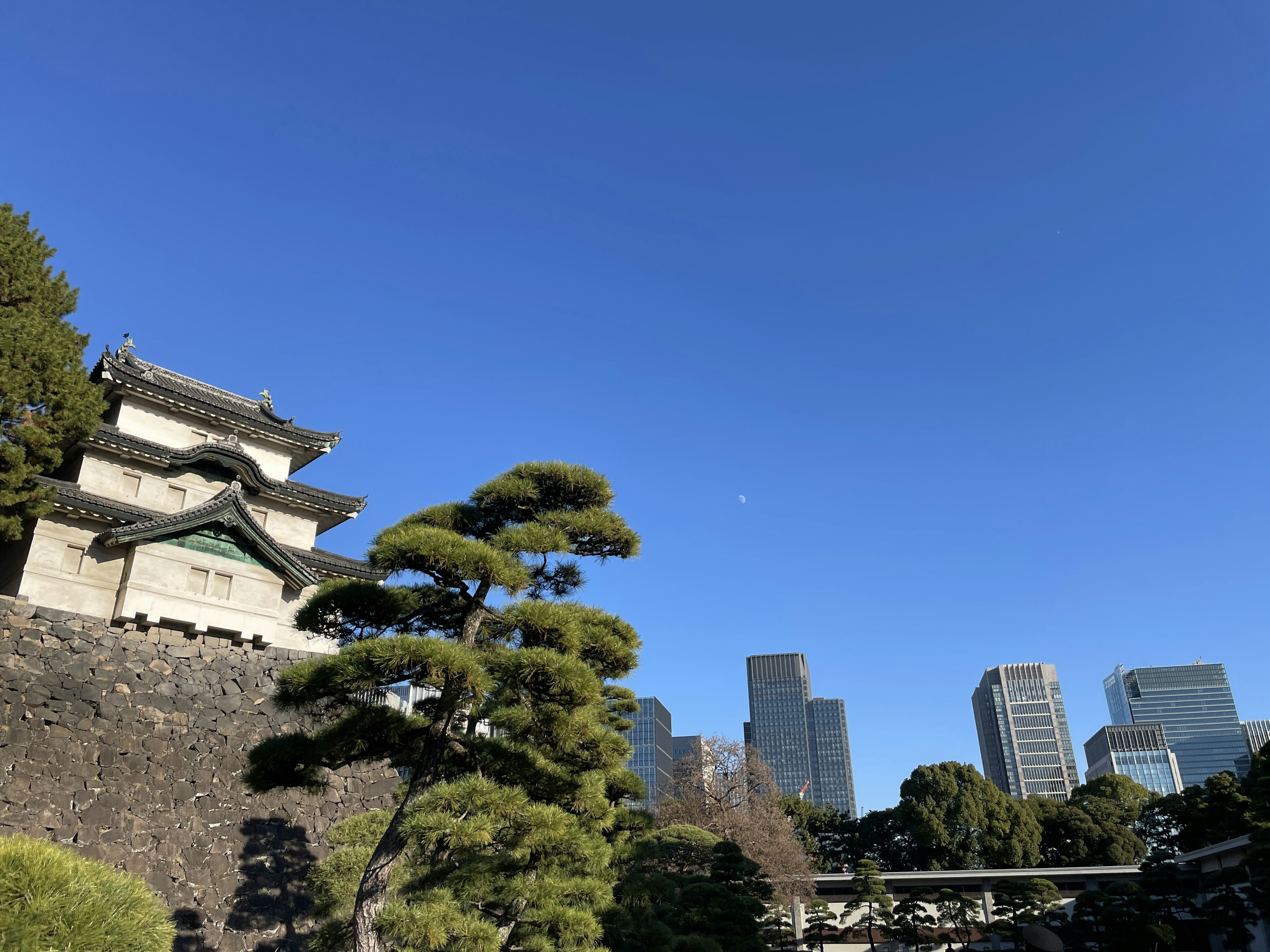 Blick auf das Tokio Schloss und Wolkenkratzer unter einem klaren blauen Himmel