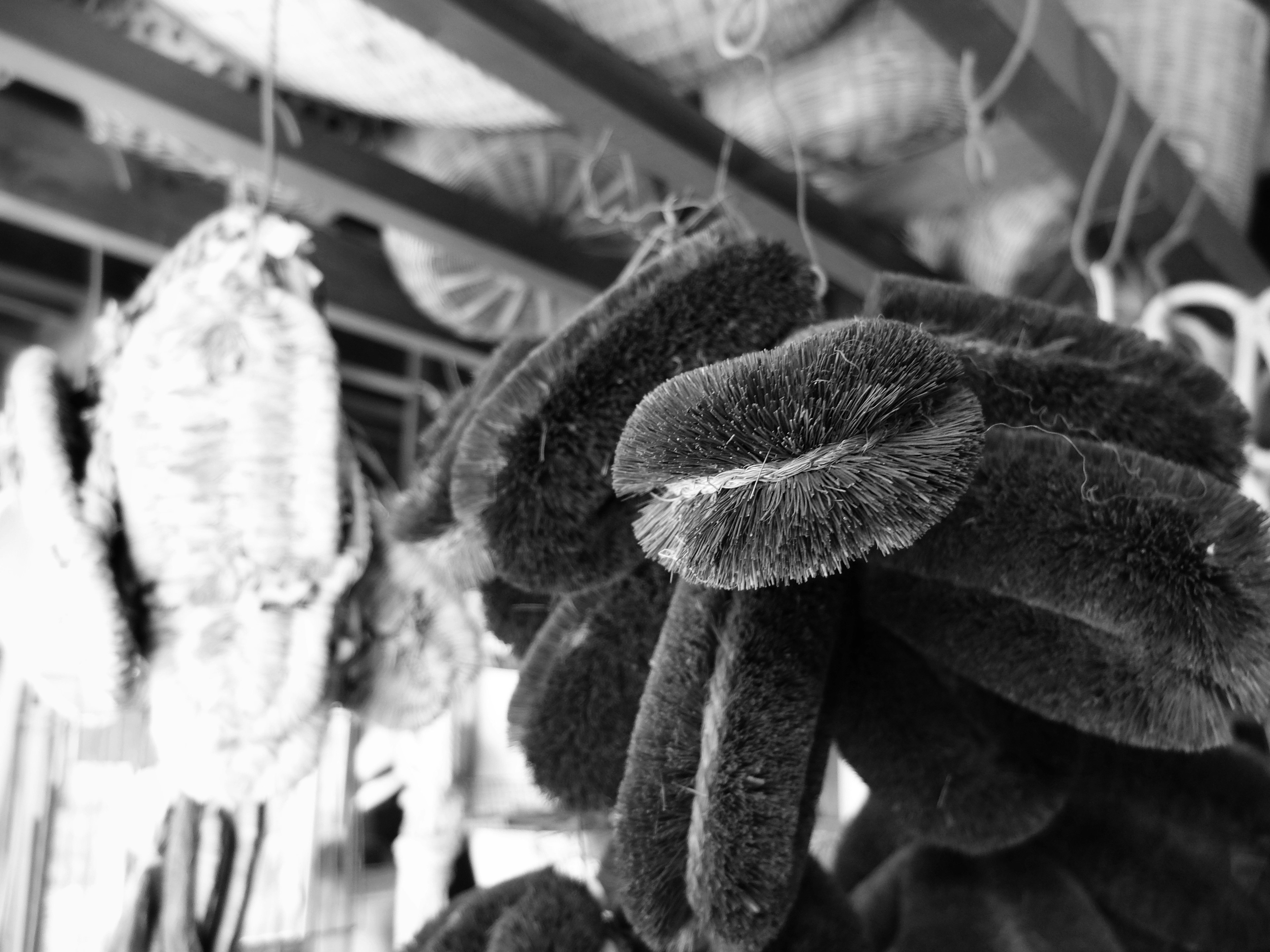 A bundle of soft sponges hanging in a black and white background