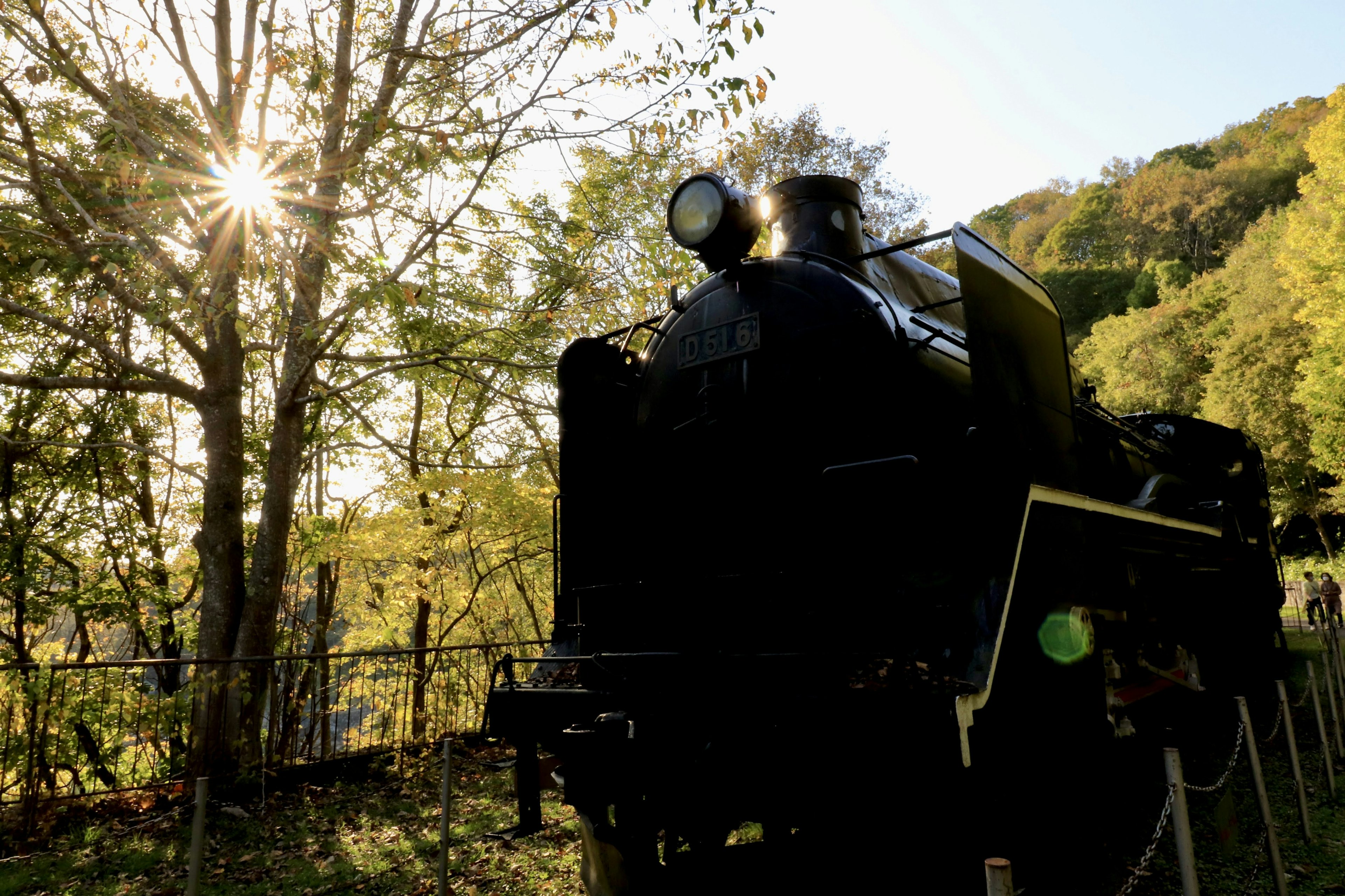 Eine alte Dampflokomotive steht zwischen Bäumen mit Sonnenlicht, das hindurchströmt