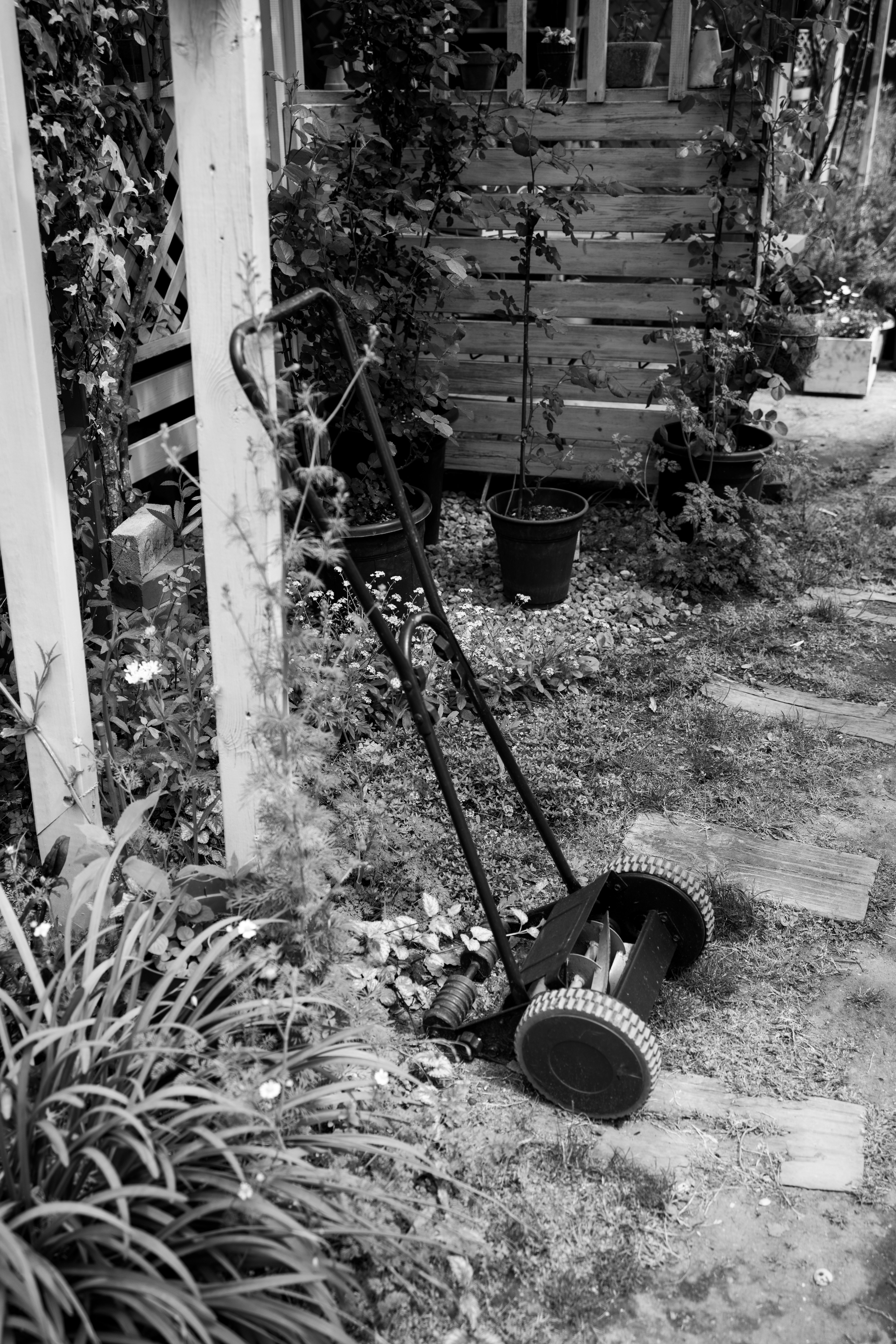 Old push lawn mower resting on a garden path surrounded by green plants and flowers