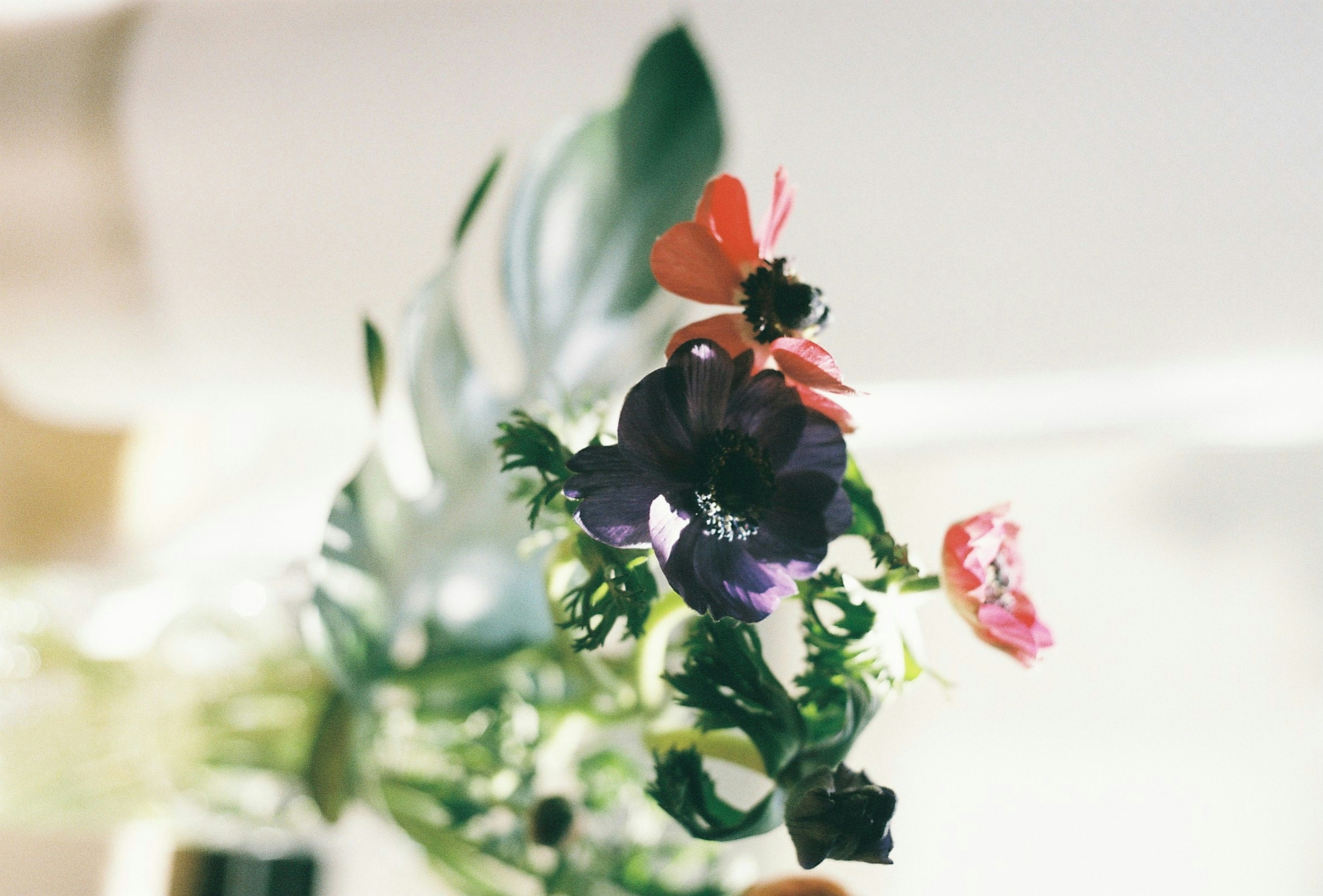 Colorful floral arrangement featuring purple and pink flowers with green leaves