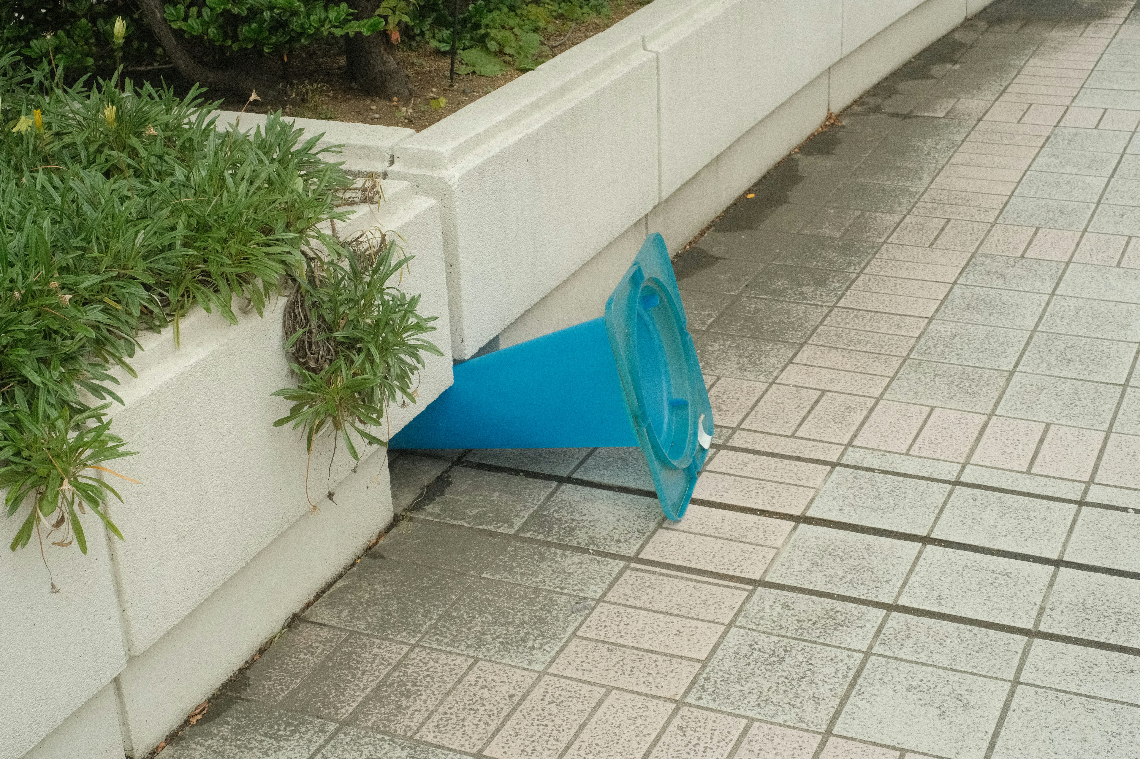 Blue traffic cone protruding from a planter