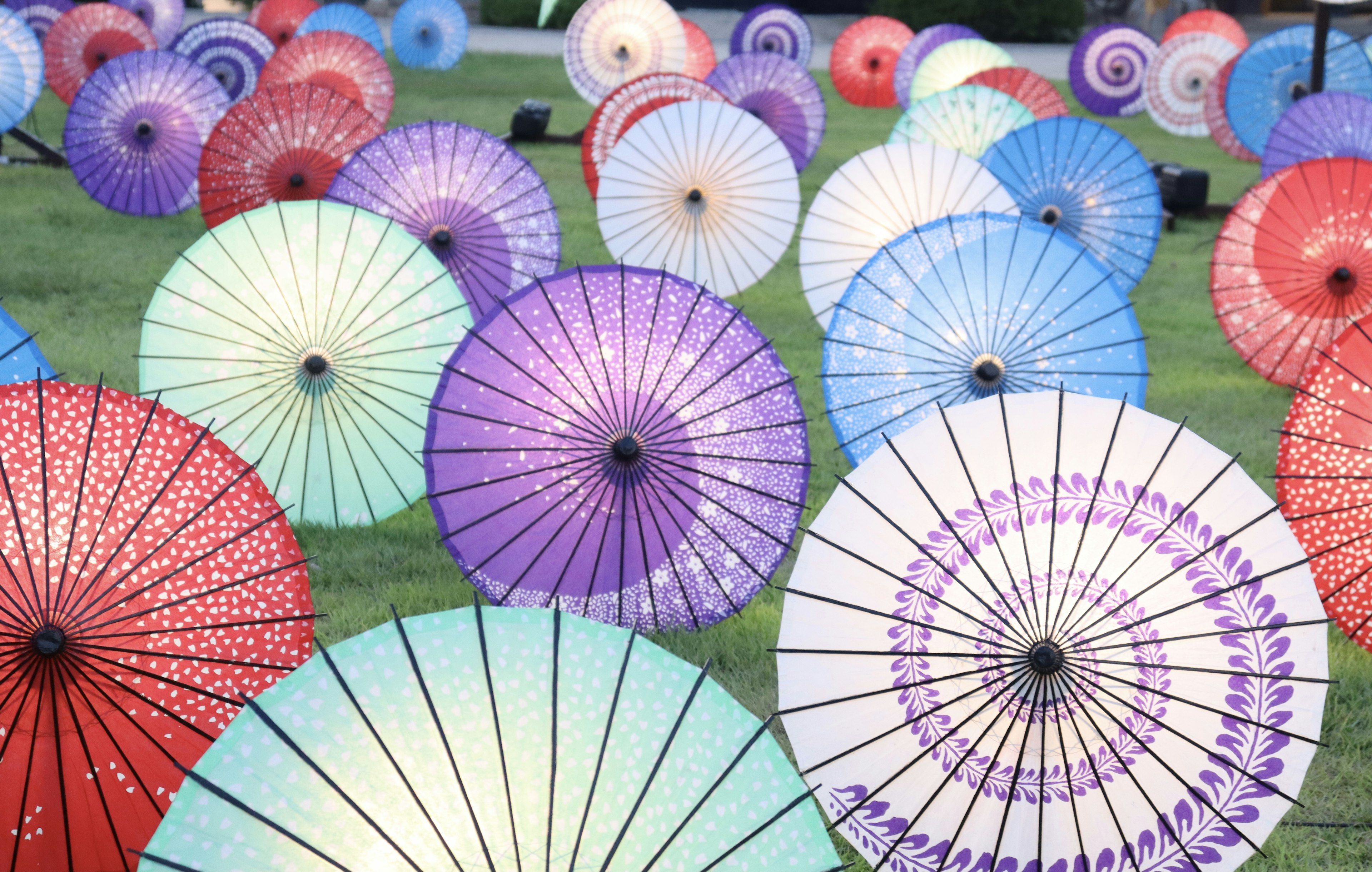 Colorful Japanese umbrellas spread across a green field