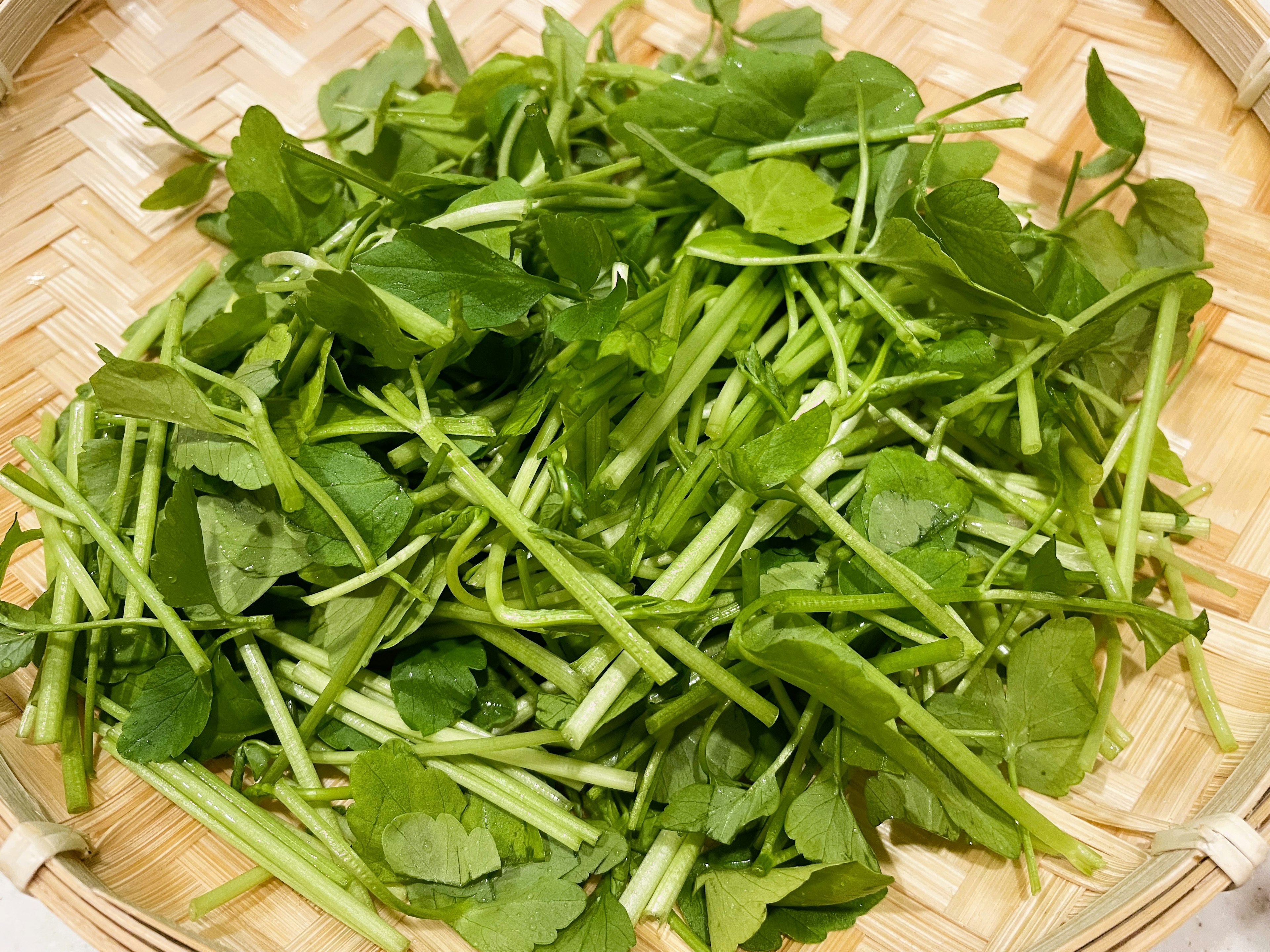 Fresh green herbs arranged in a woven basket