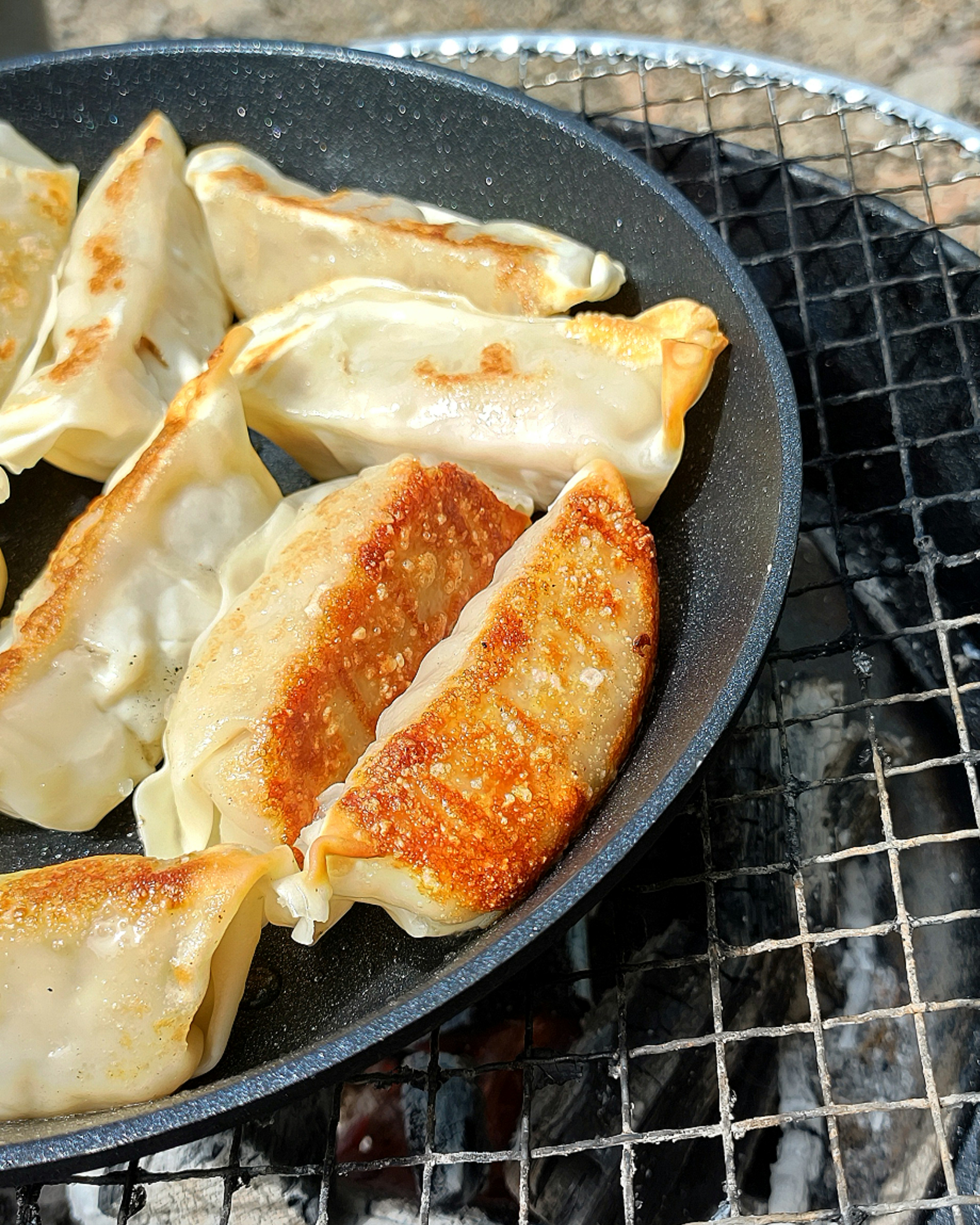 Pan-fried gyoza cooking in a skillet