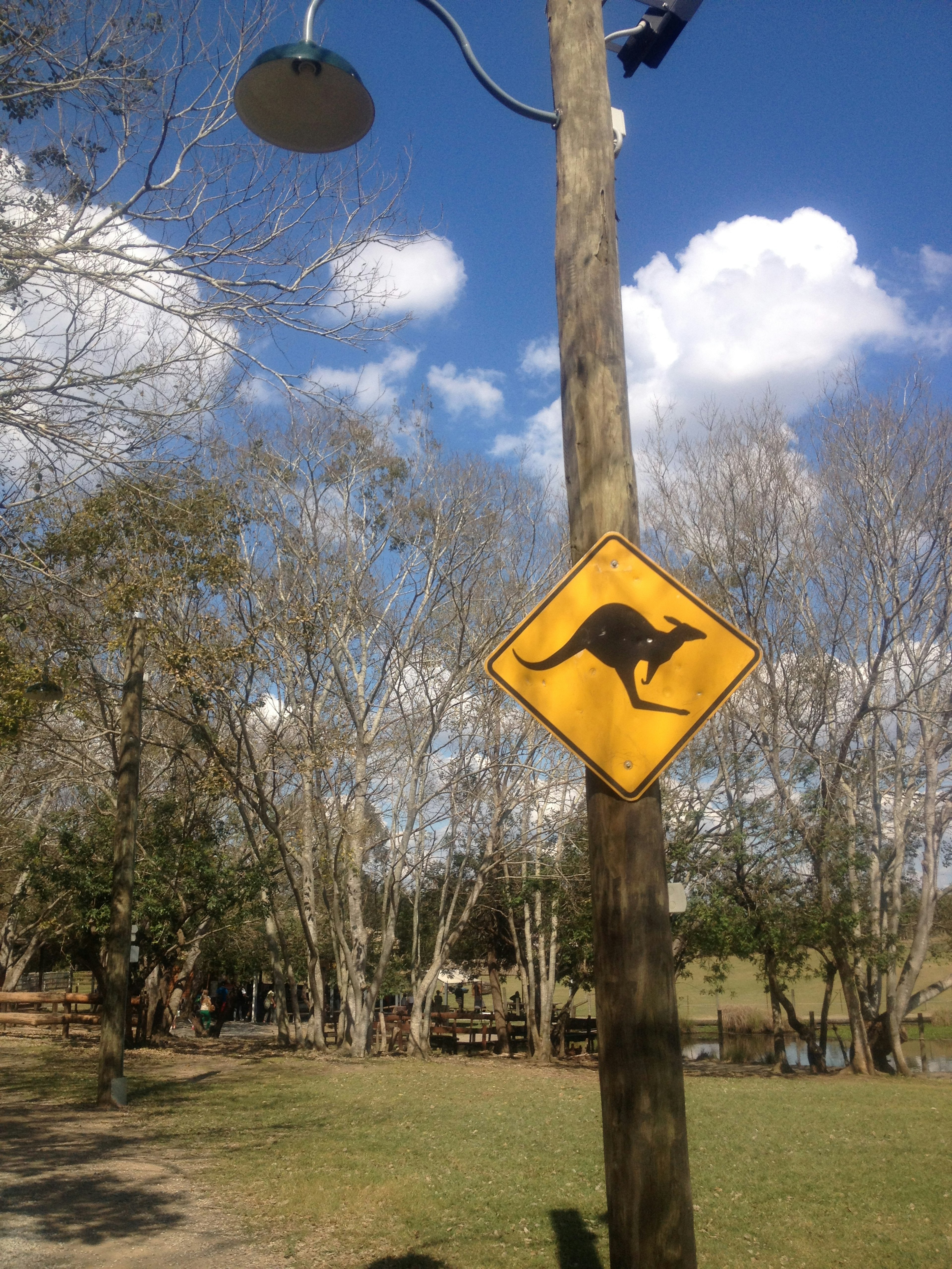 Kangaroo warning sign on a post in a park