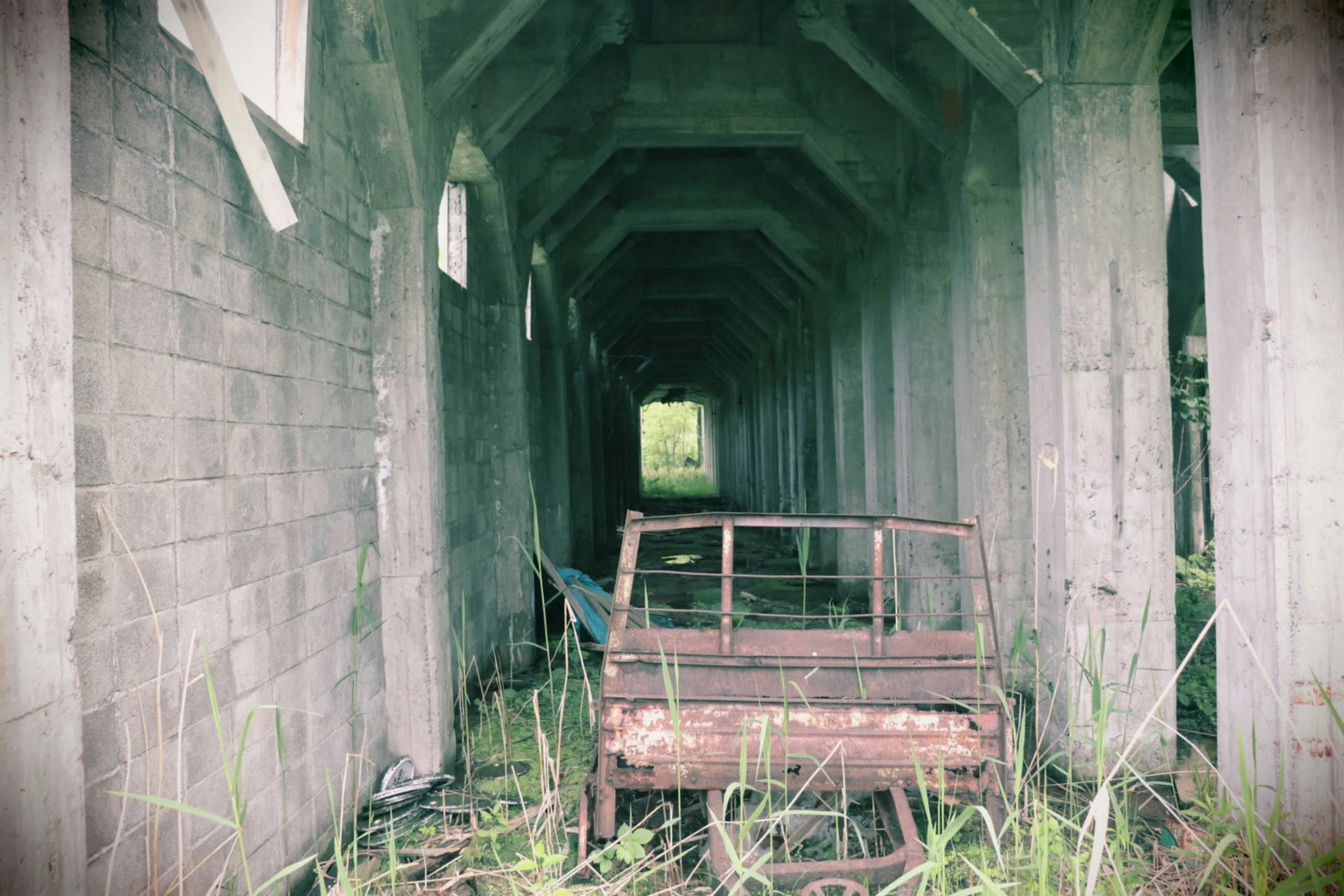 Abandoned rusted vehicle in a dilapidated tunnel surrounded by overgrown grass