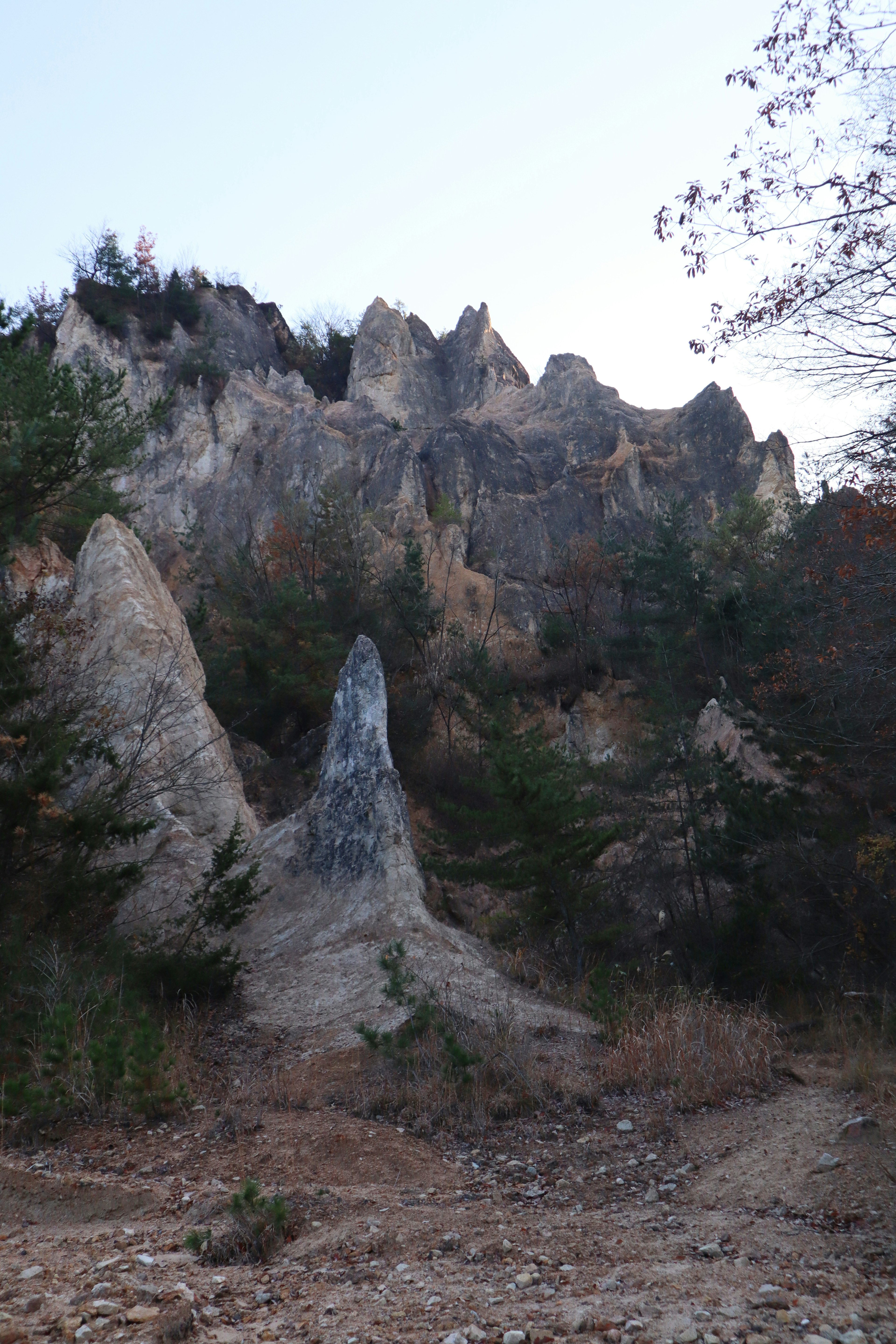 Unique shaped rock formations and surrounding trees in a landscape