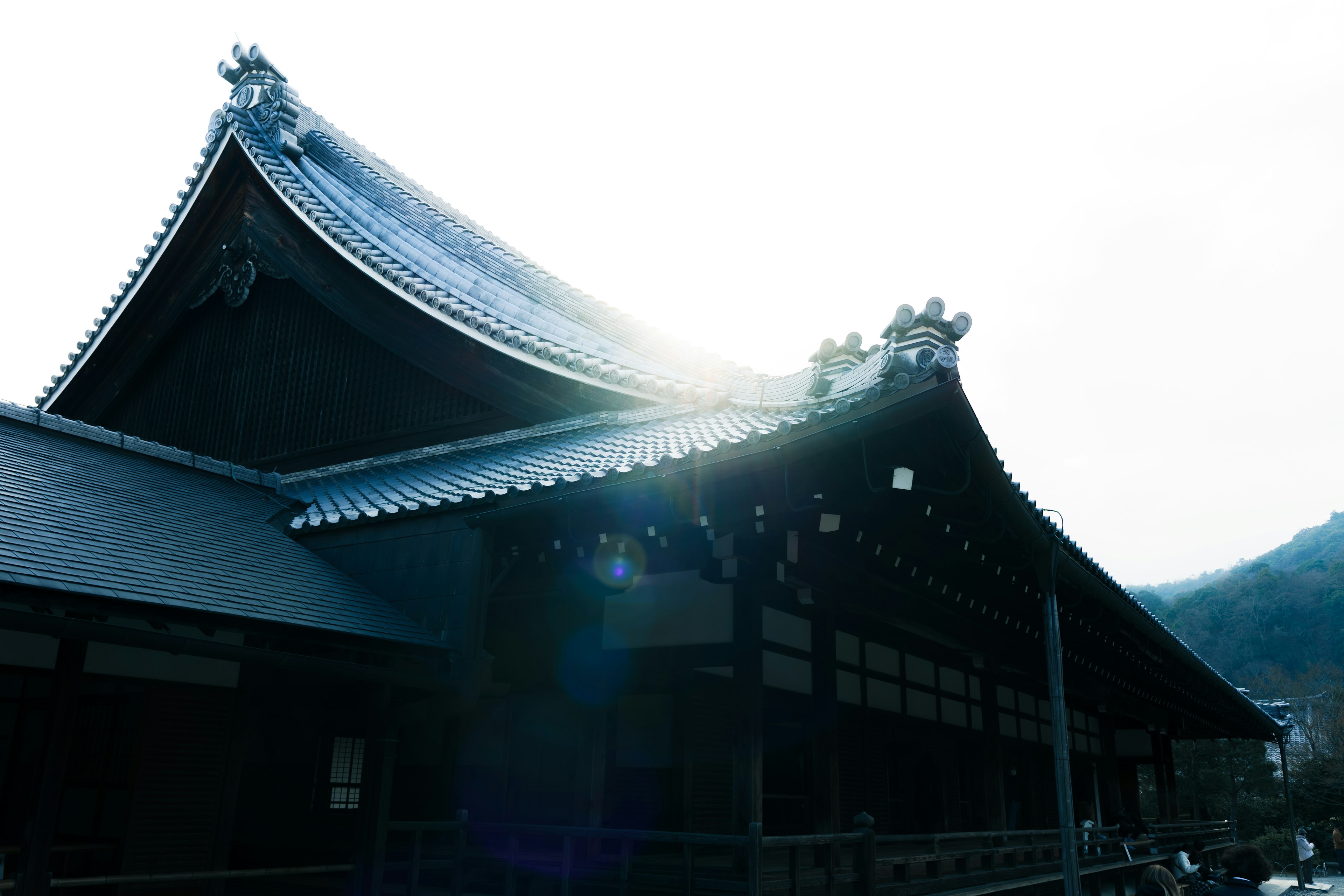 Traditional Japanese temple roof design with surrounding mountains