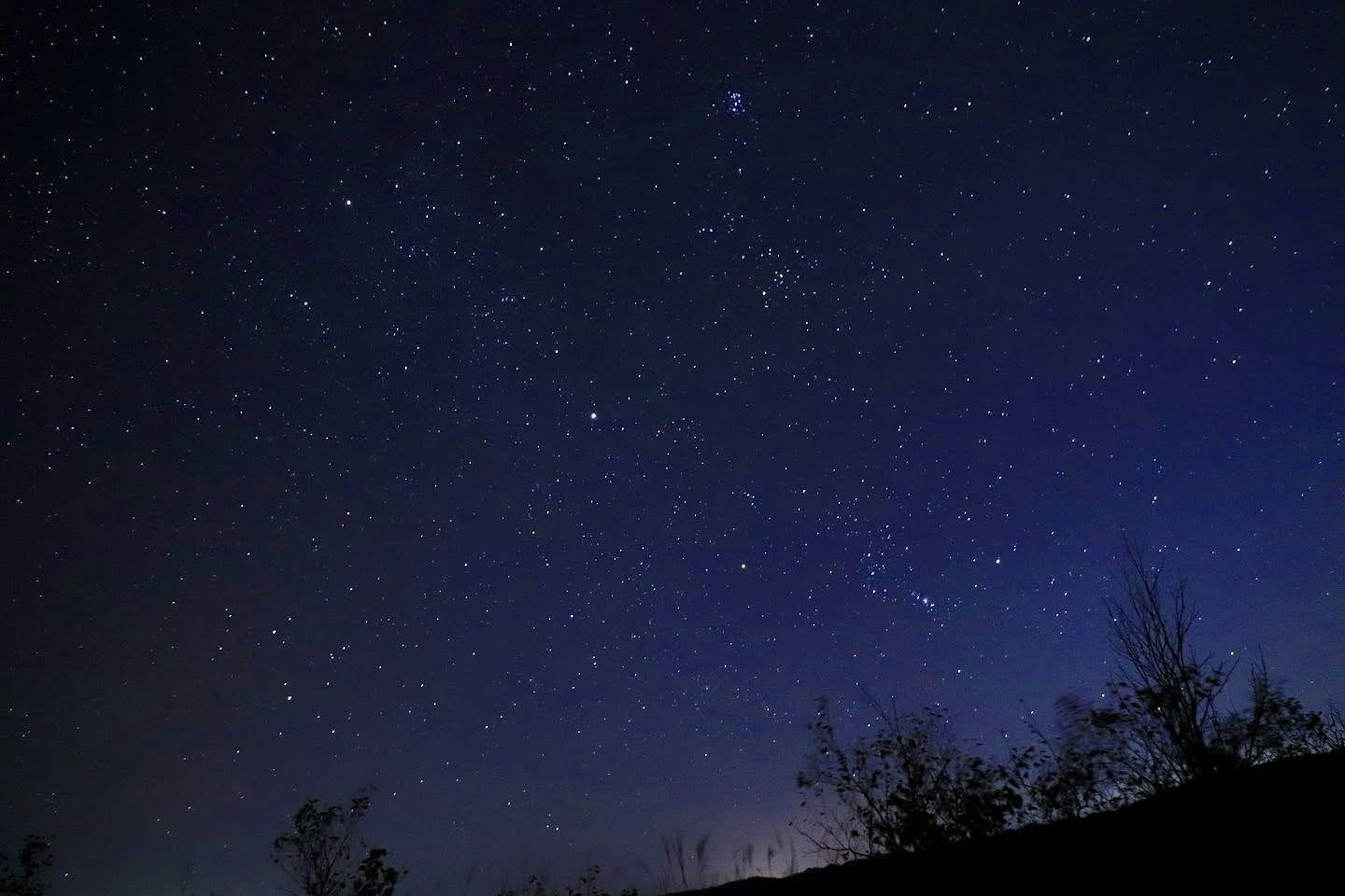 星光闪烁的美丽夜空景观