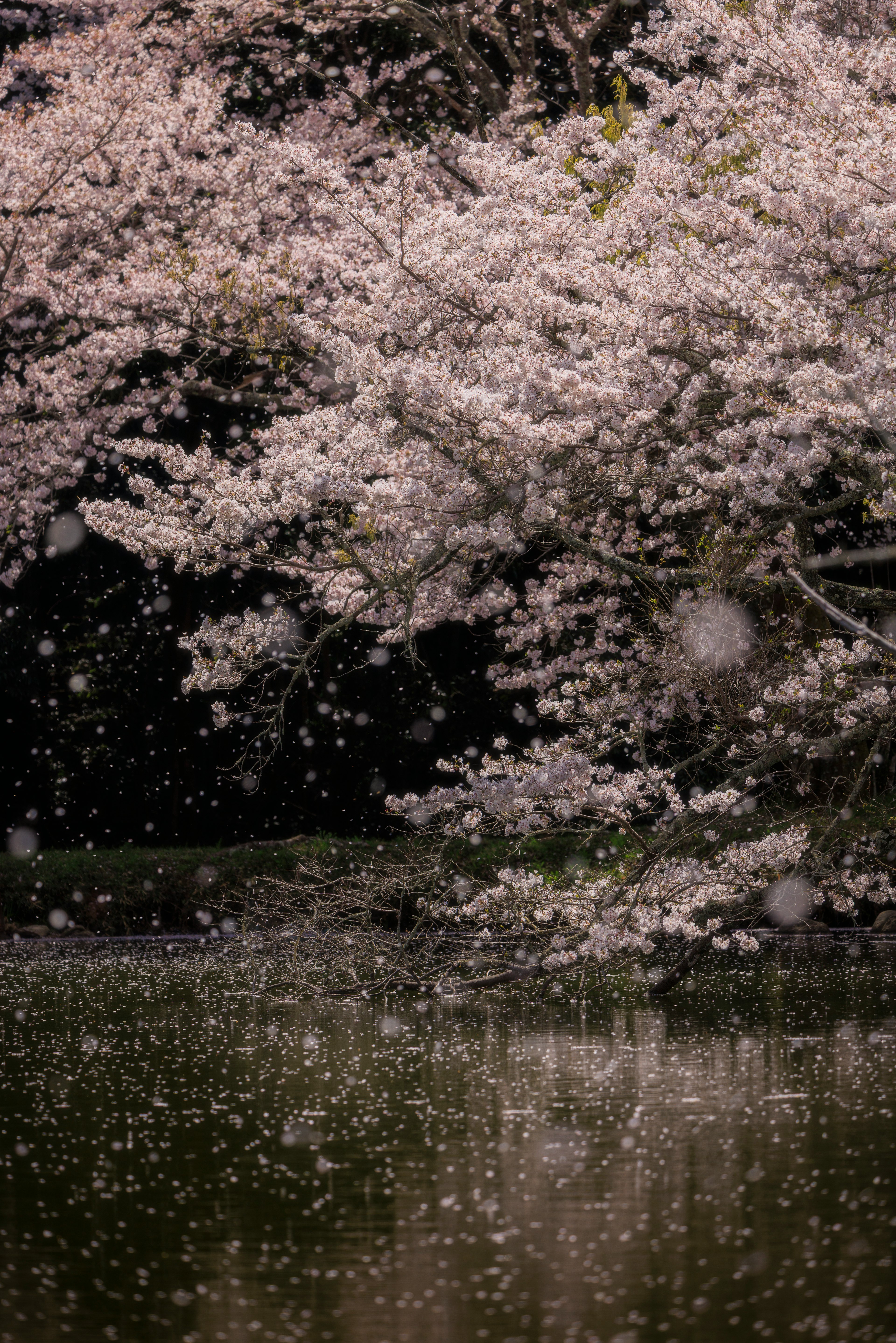 photo-m8uArcxCjWxxjR8ZGqOJ-image