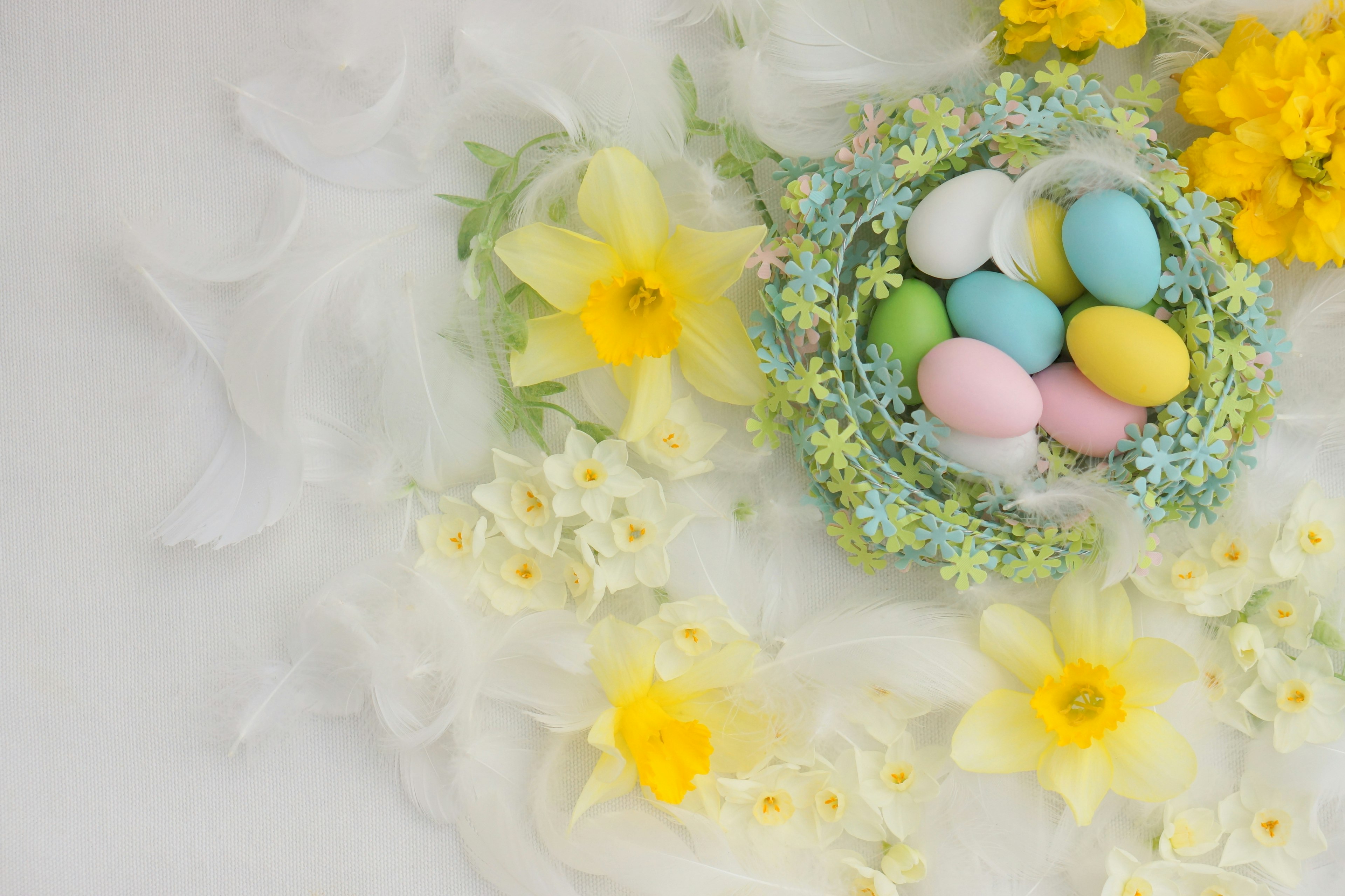 Bunte Eier in einem kleinen Nest umgeben von gelben Blumen