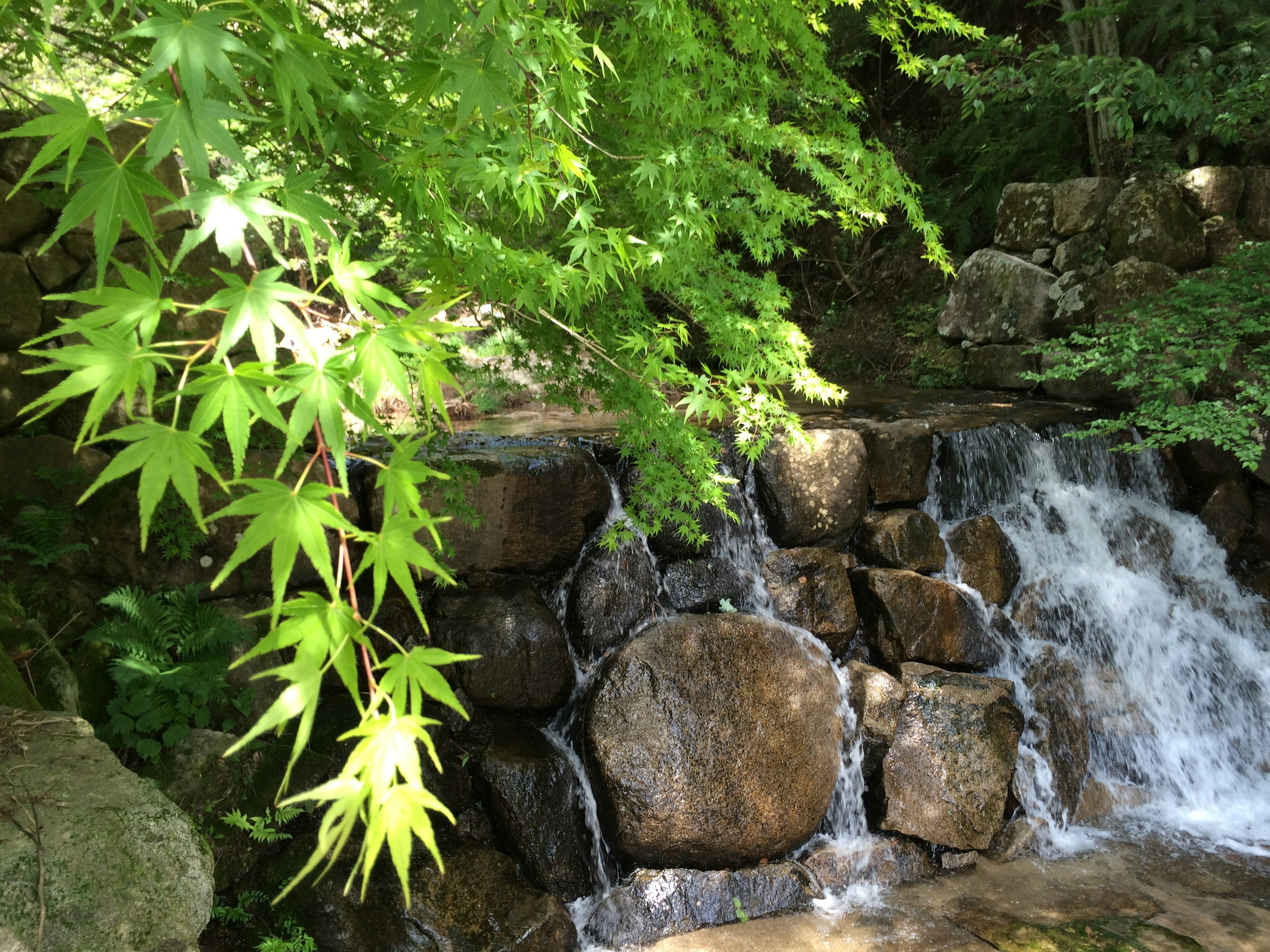 緑の葉が生い茂る滝と石の壁の景色