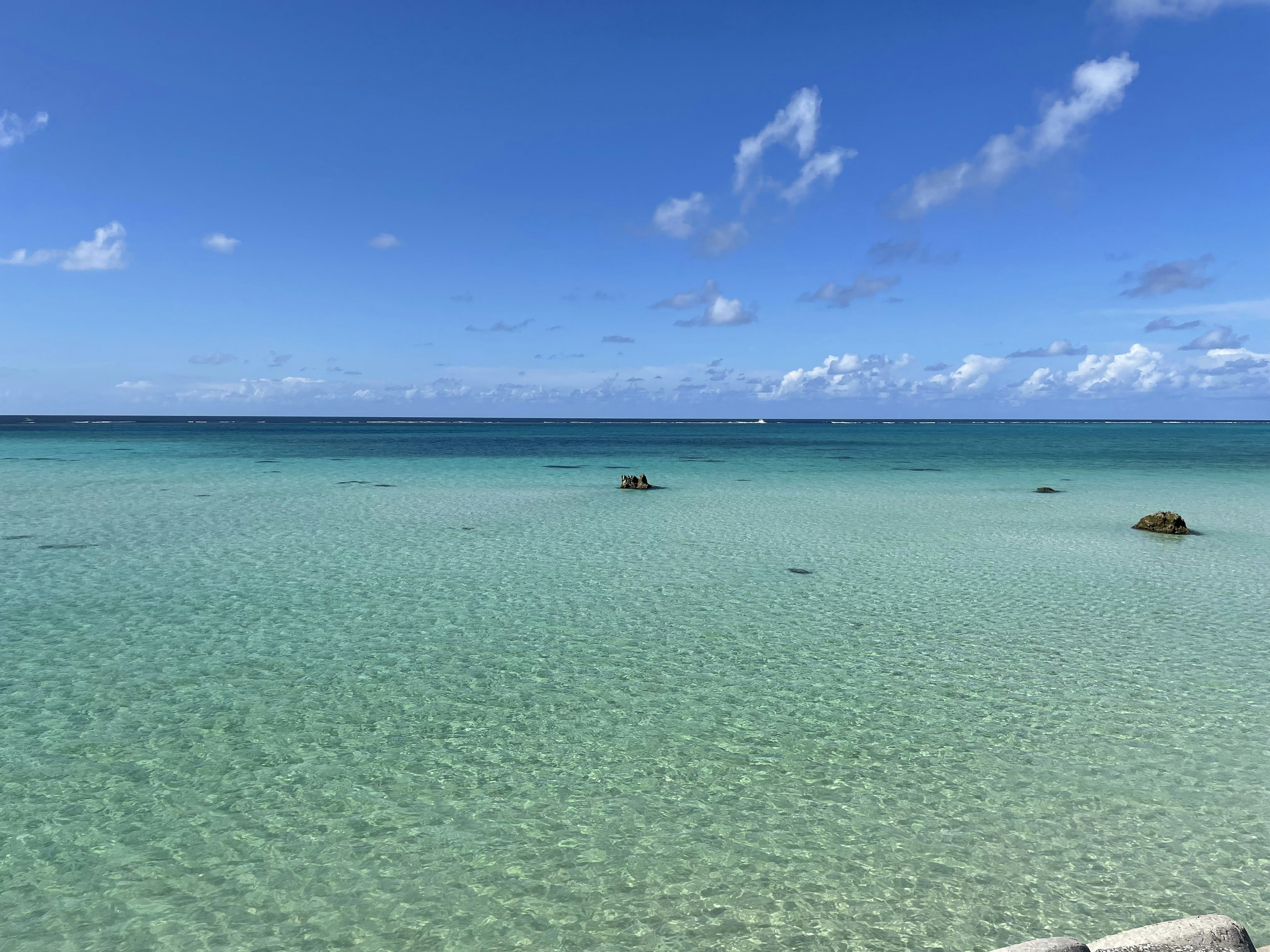 青い海と空が広がる美しいビーチの風景