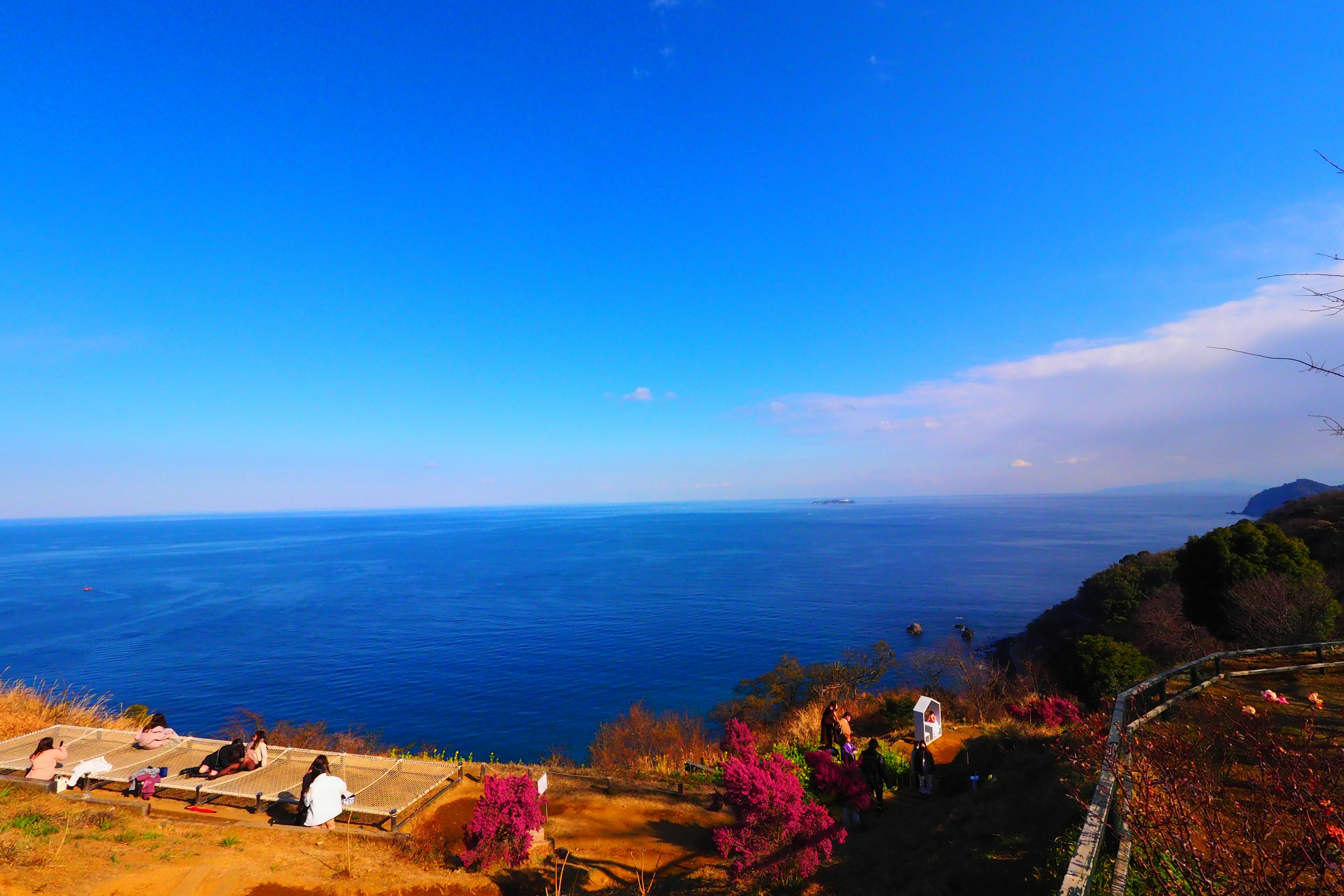 青い海と空を背景にした美しい風景で、花や人々が見える