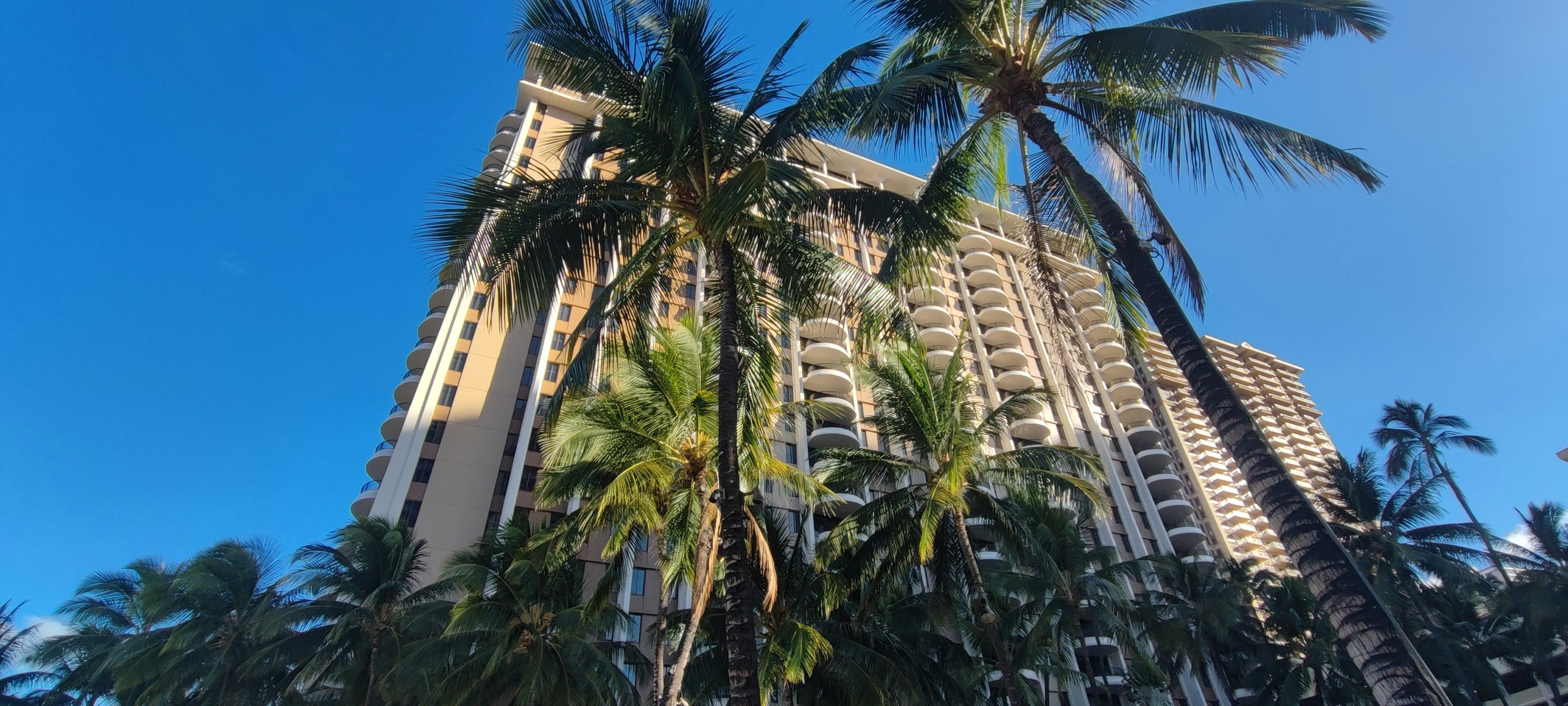 Un alto edificio circondato da palme sotto un cielo blu chiaro