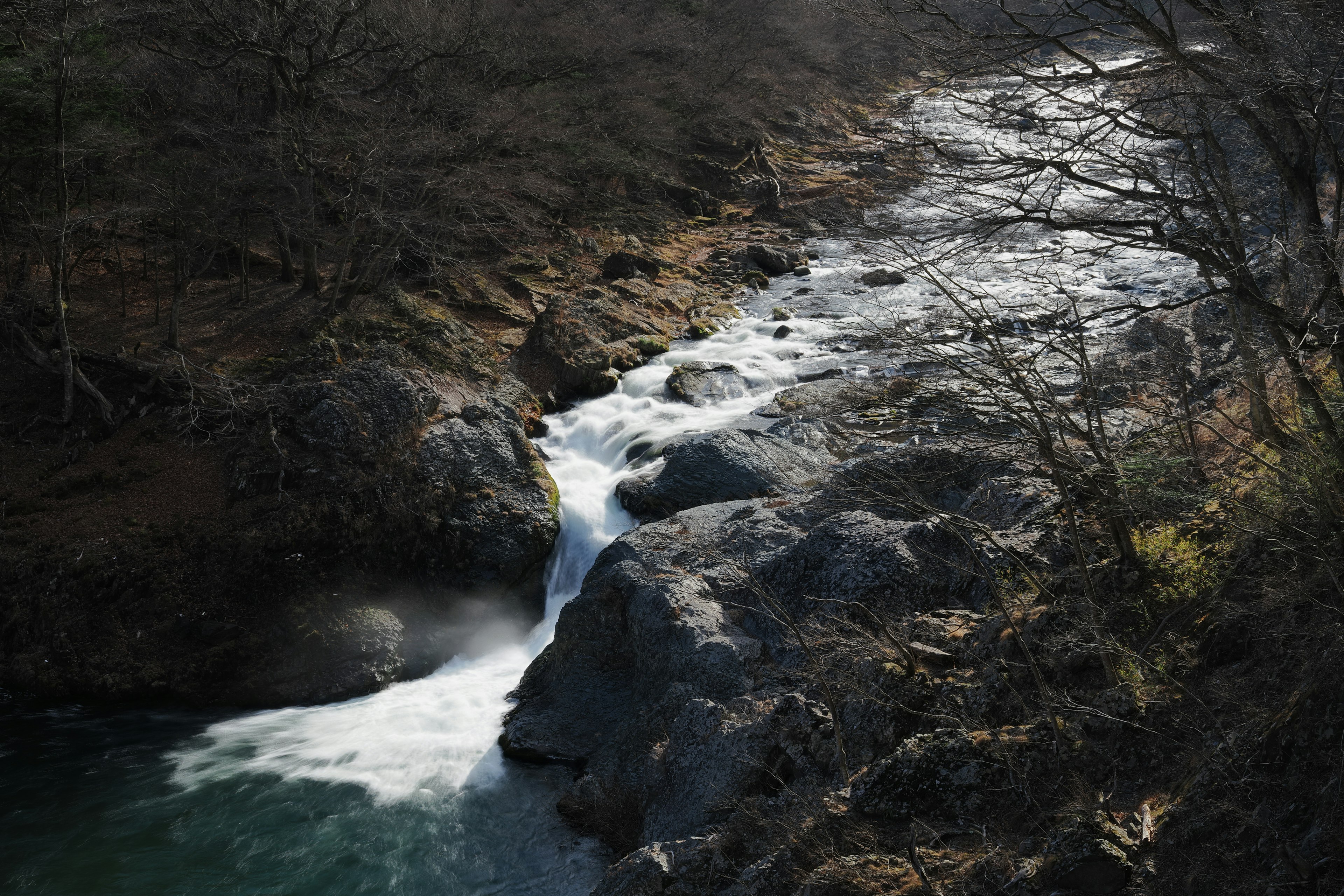 Un río que fluye sobre rocas rodeado de árboles