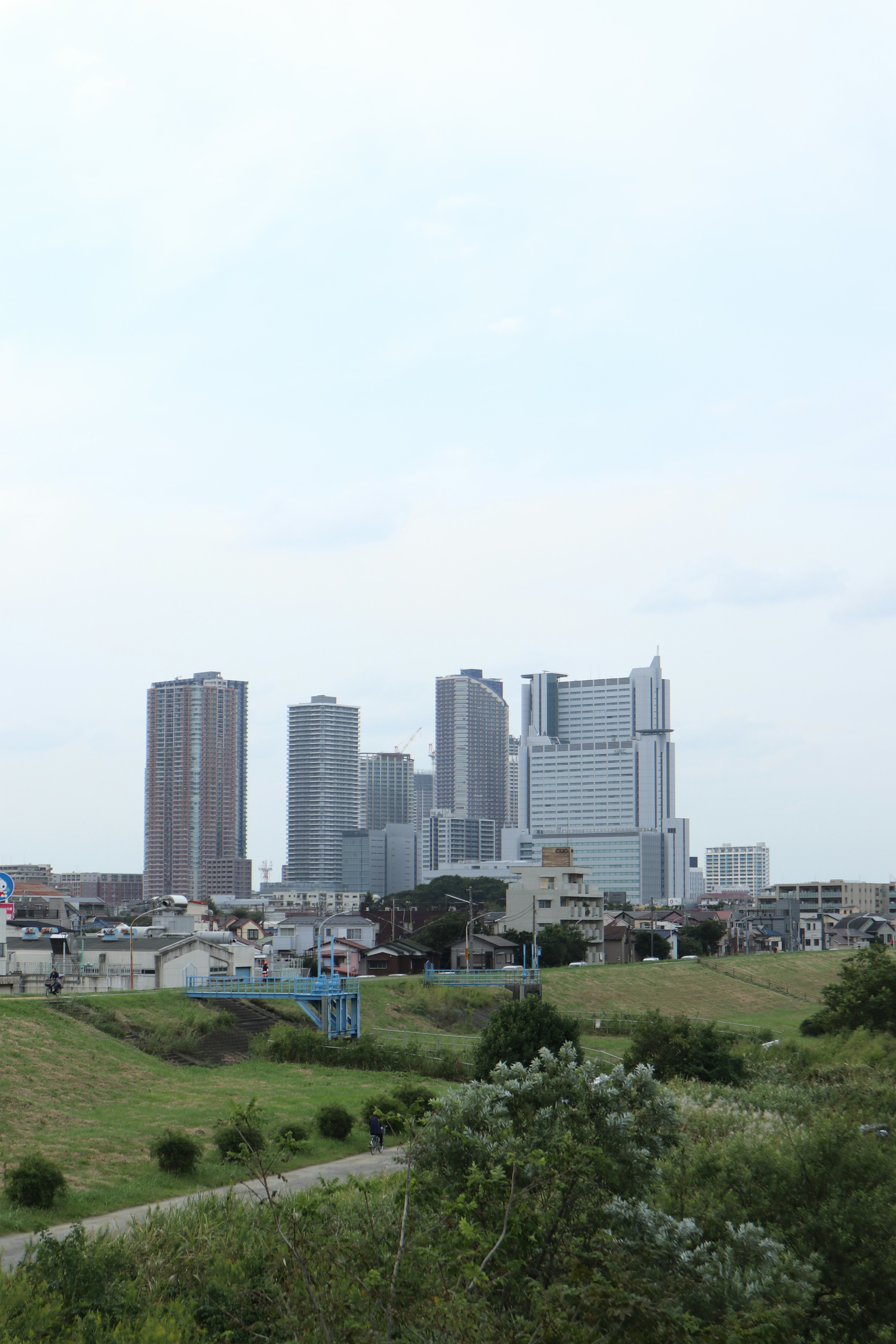 城市天際線，有高樓和前景的綠地