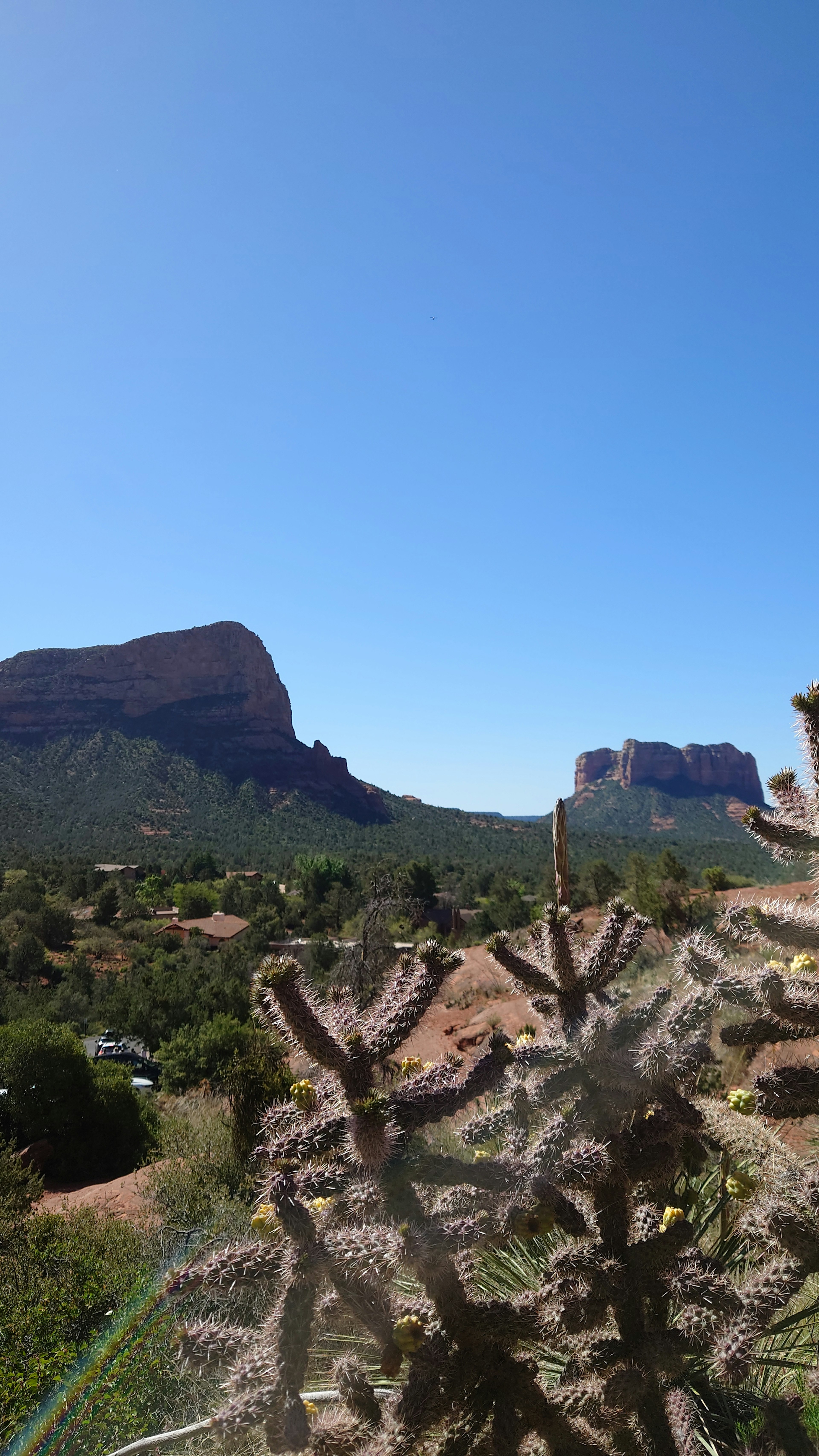 Paesaggio con montagne e cactus sotto un cielo azzurro