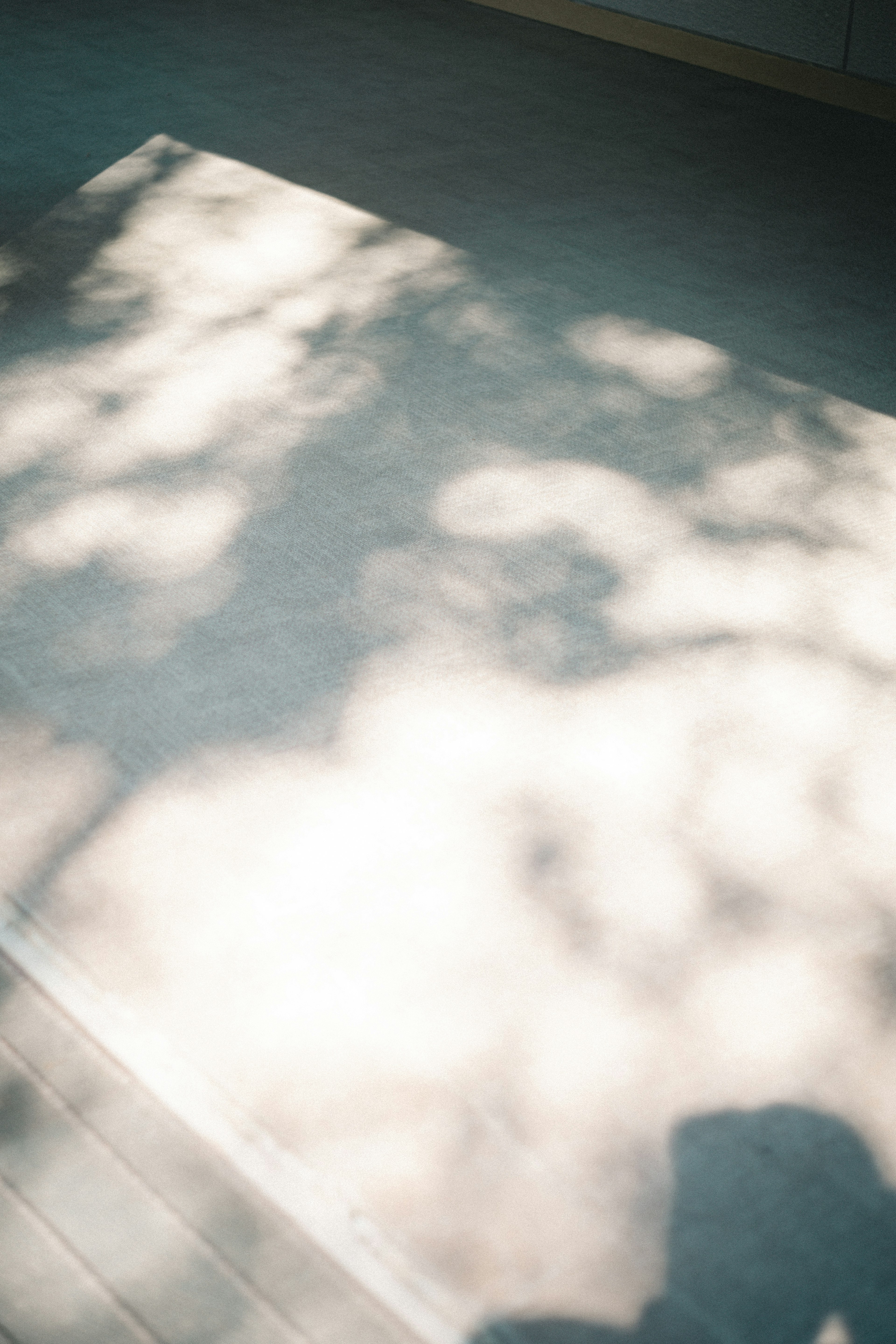 Soft shadows cast on a light-colored floor