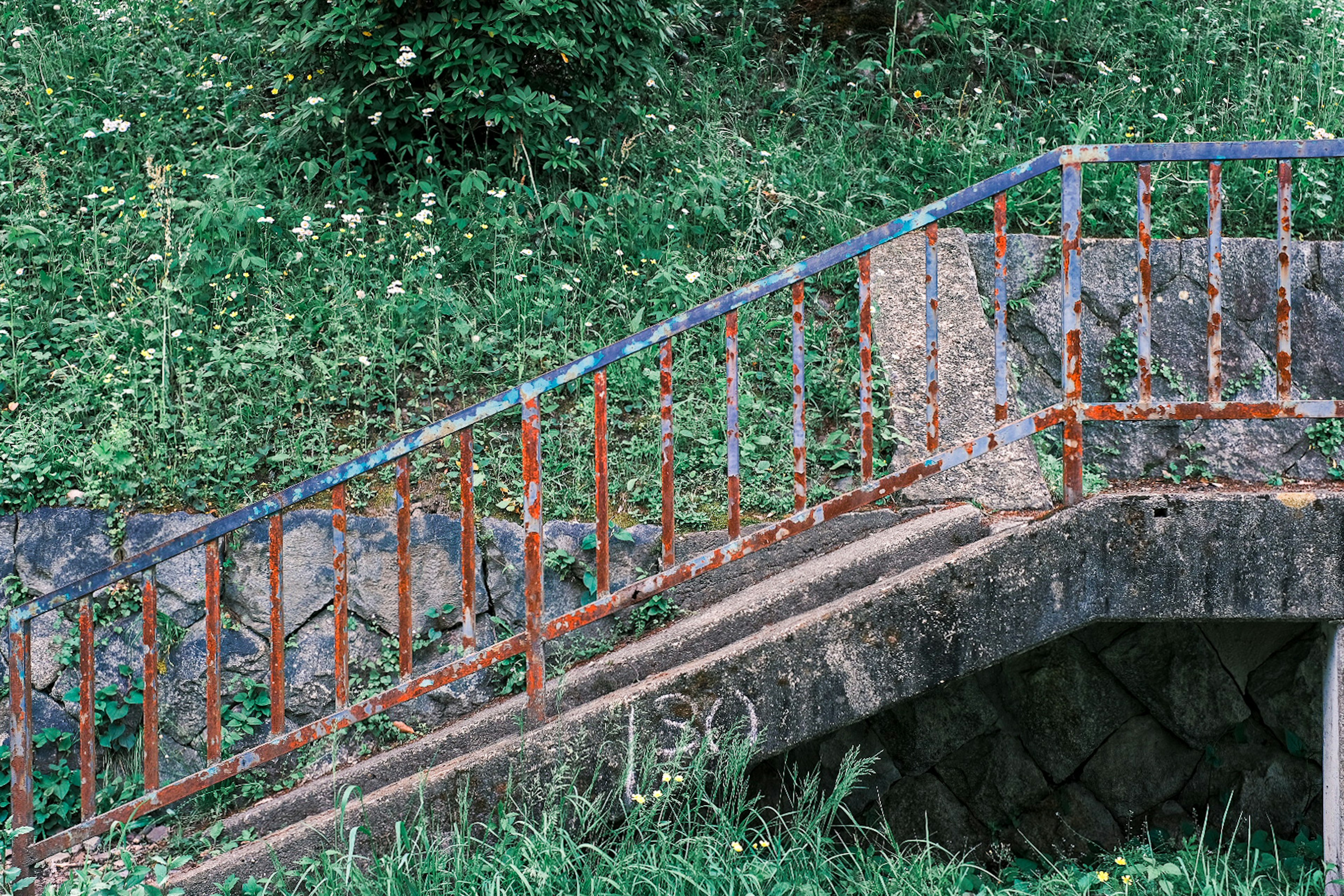 Anciennes escaliers avec une rampe rouillée entourée d'herbe