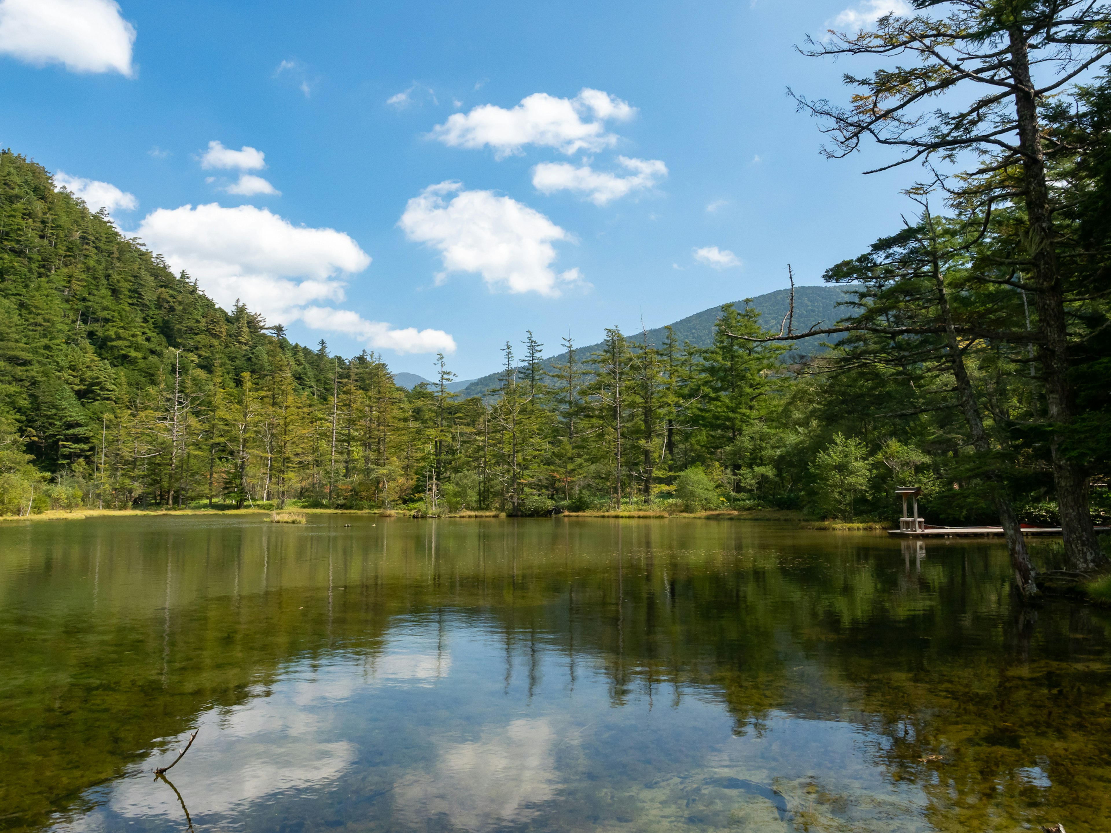 Un lago sereno que refleja montañas verdes y cielo azul