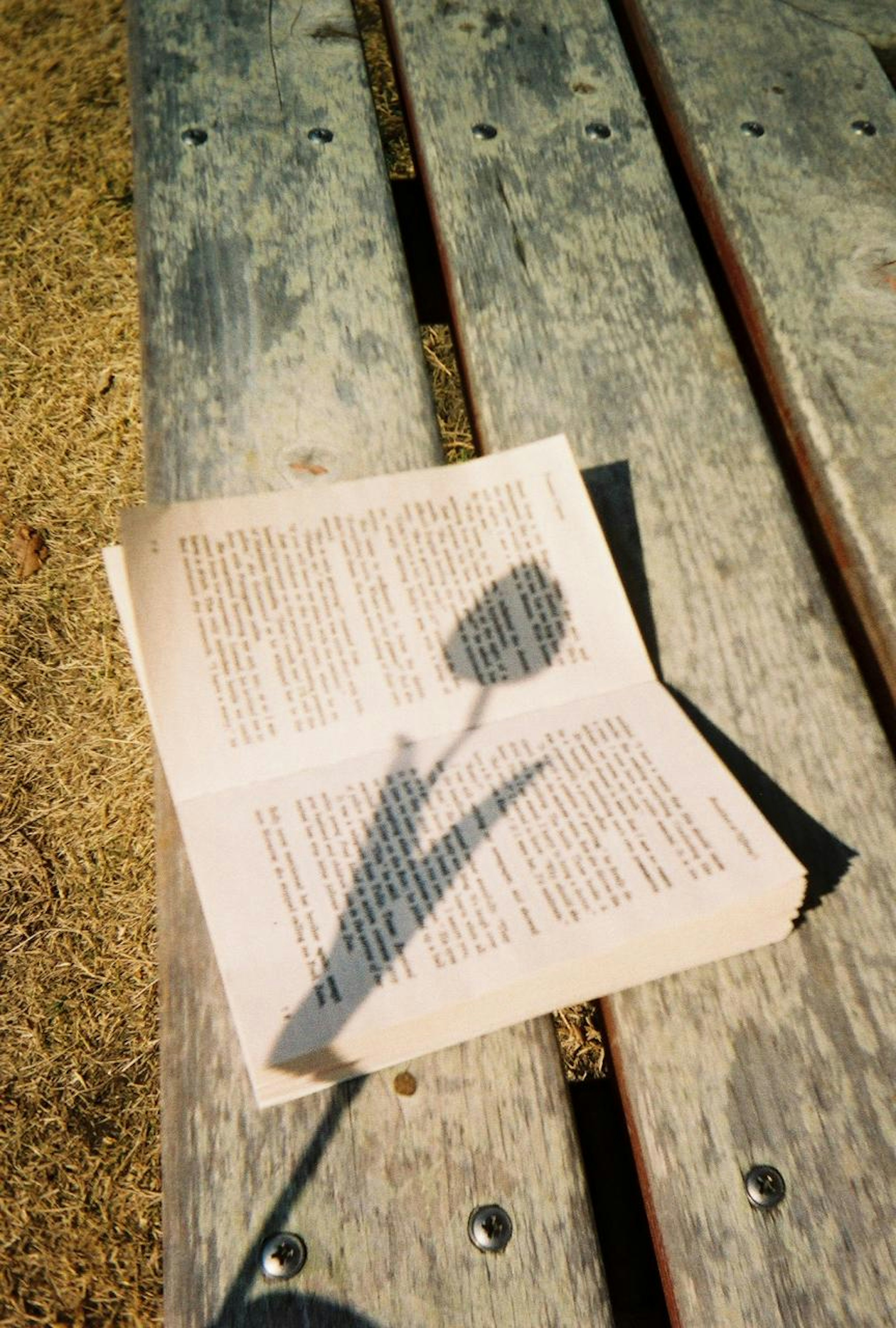 A book with a flower shadow on a park bench