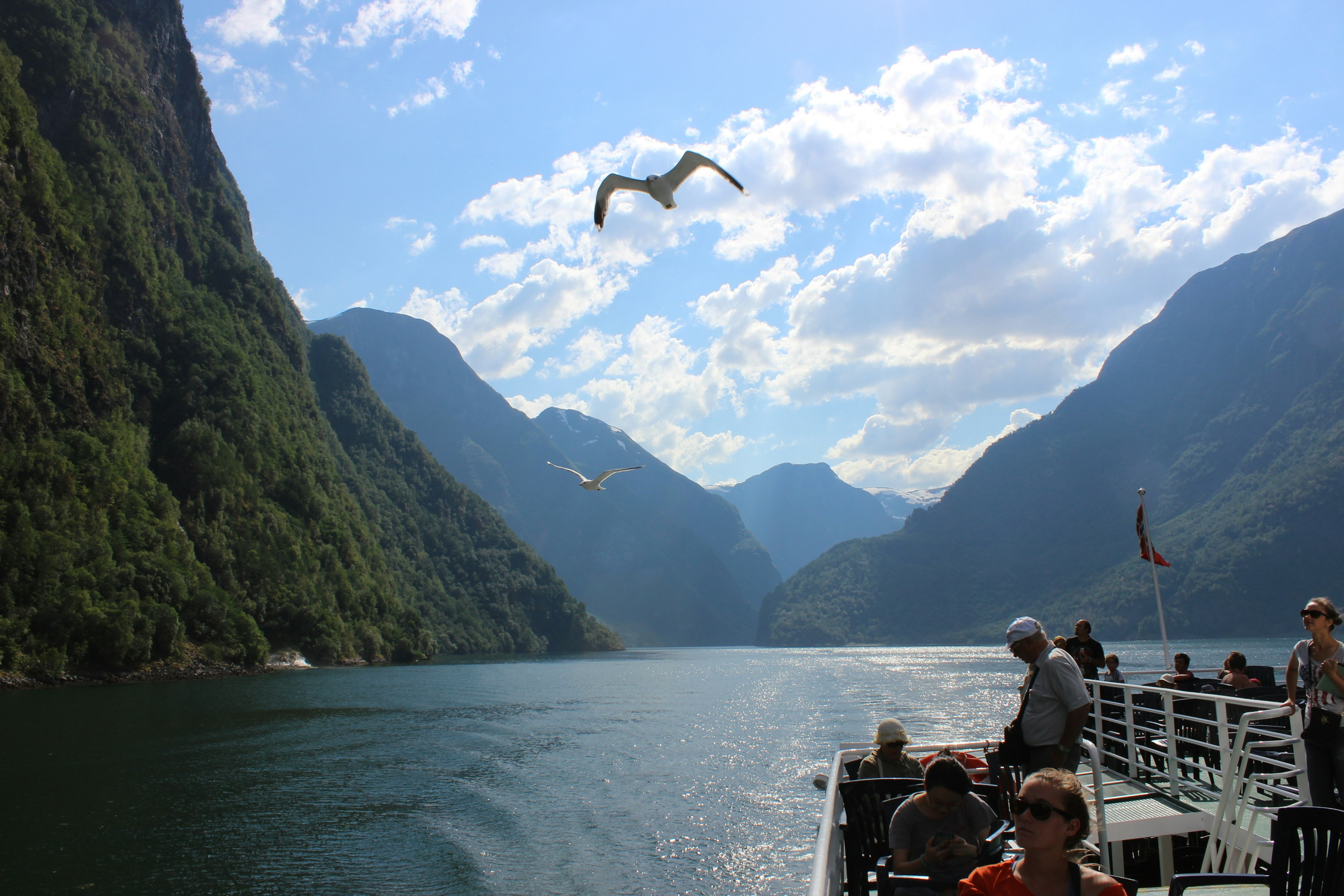 Vista panoramica del fiordo con passeggeri su una barca e un uccello in volo