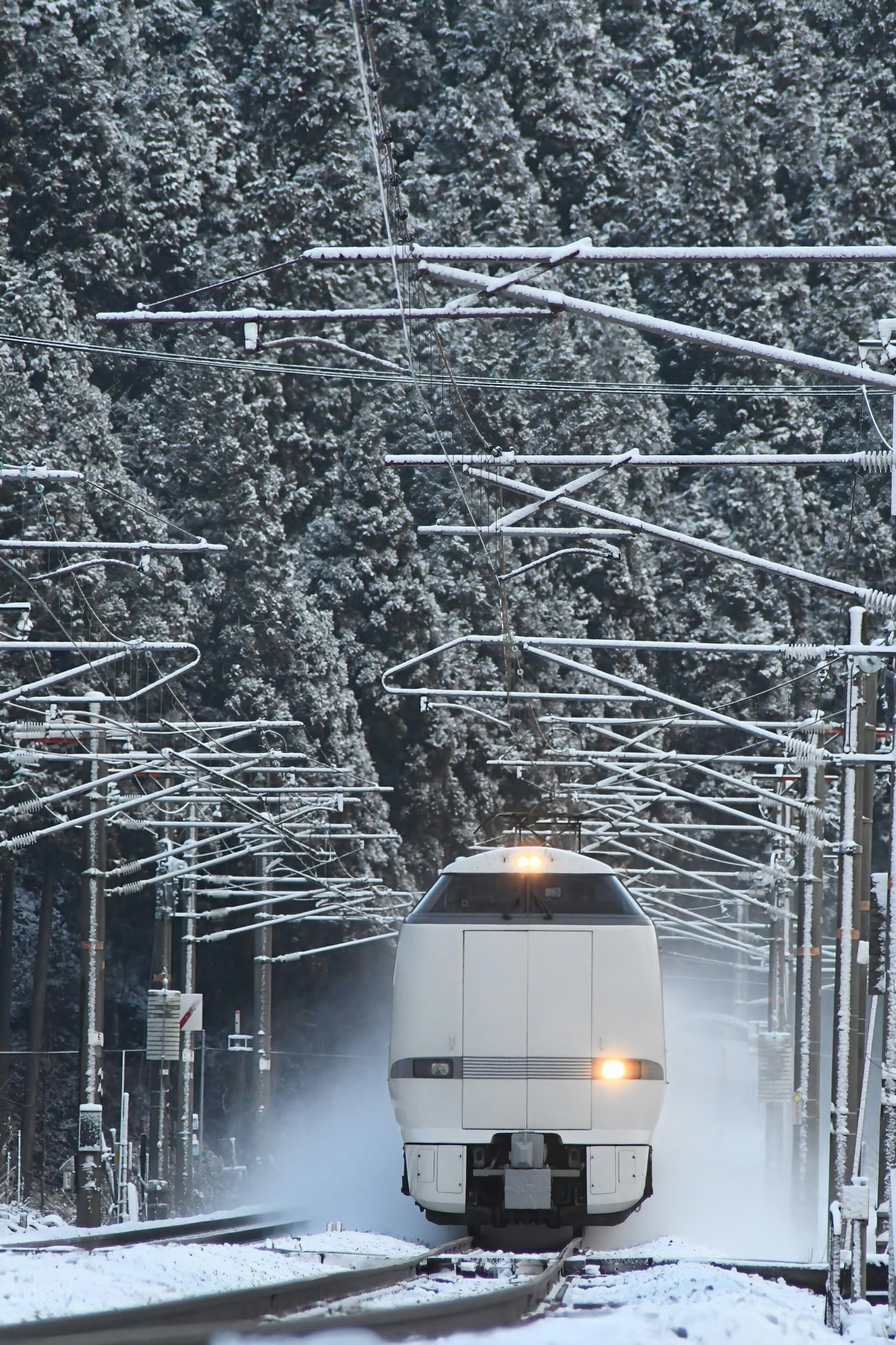 Weißer Zug fährt durch einen schneebedeckten Wald