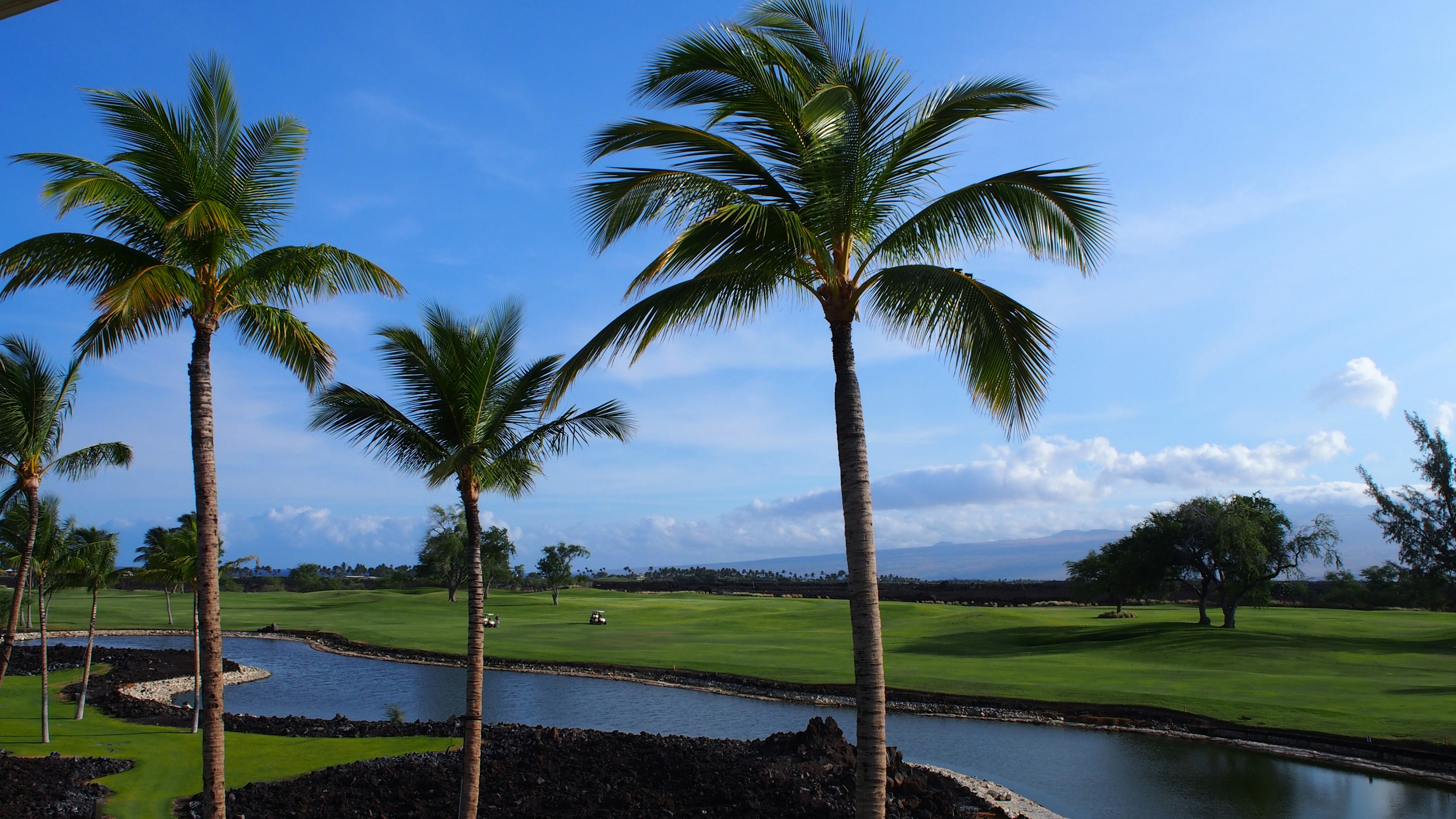 Pemandangan lapangan golf dengan pohon palem dan langit biru jernih