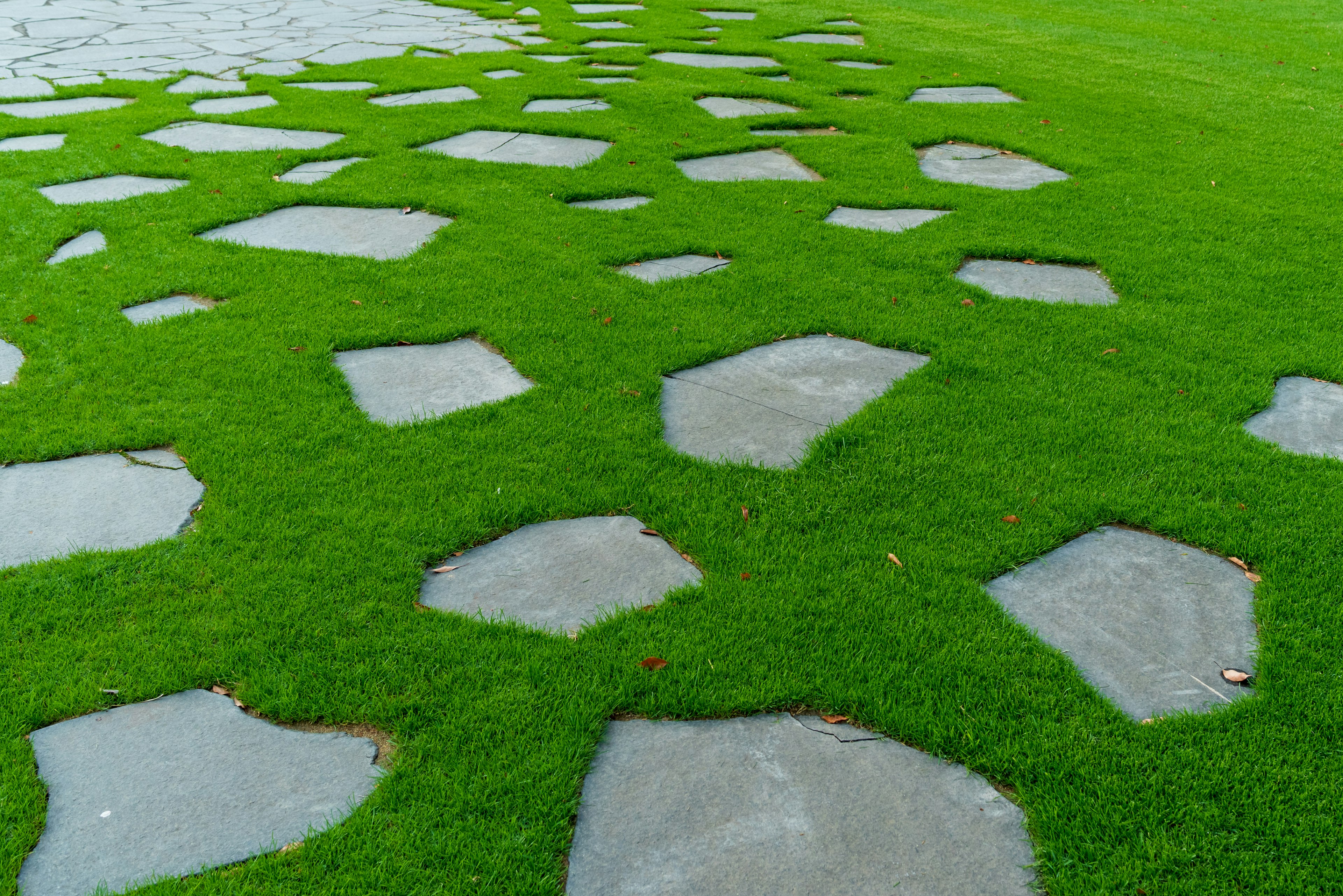 Percorso in pietra irregolare su erba verde lussureggiante