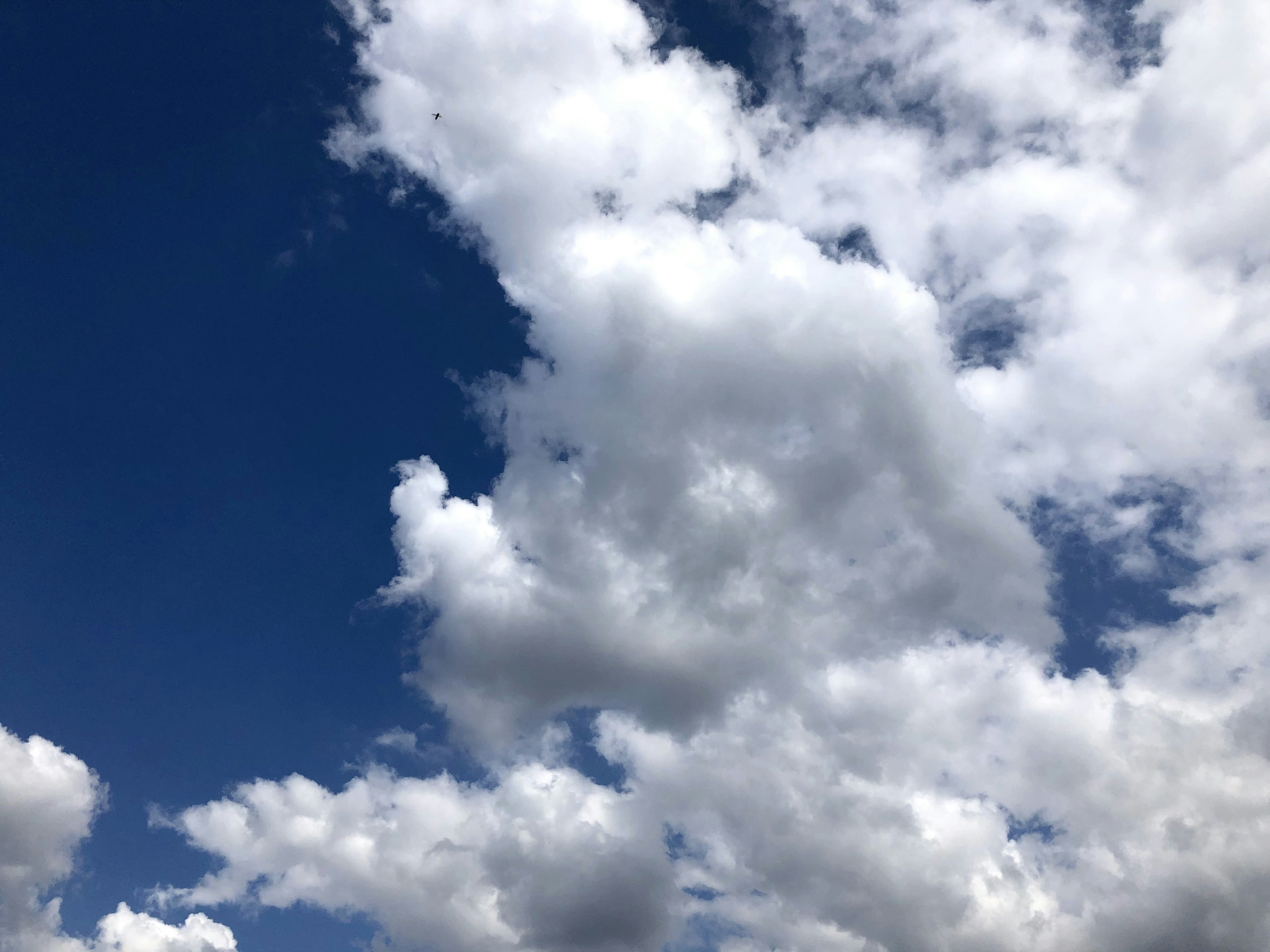 Nuages blancs duveteux dans un ciel bleu profond