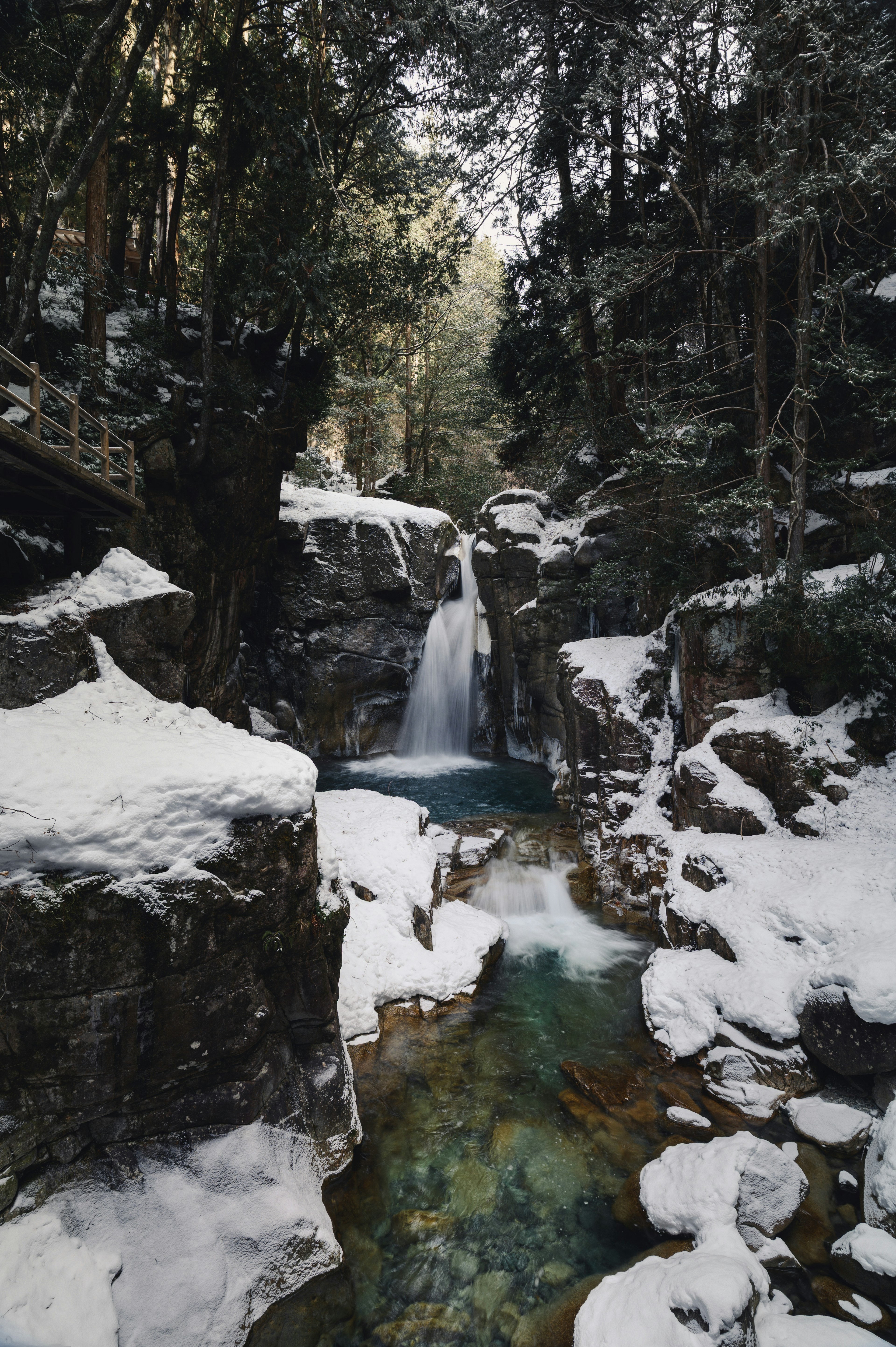 Forest scene with a snow-covered waterfall and clear stream