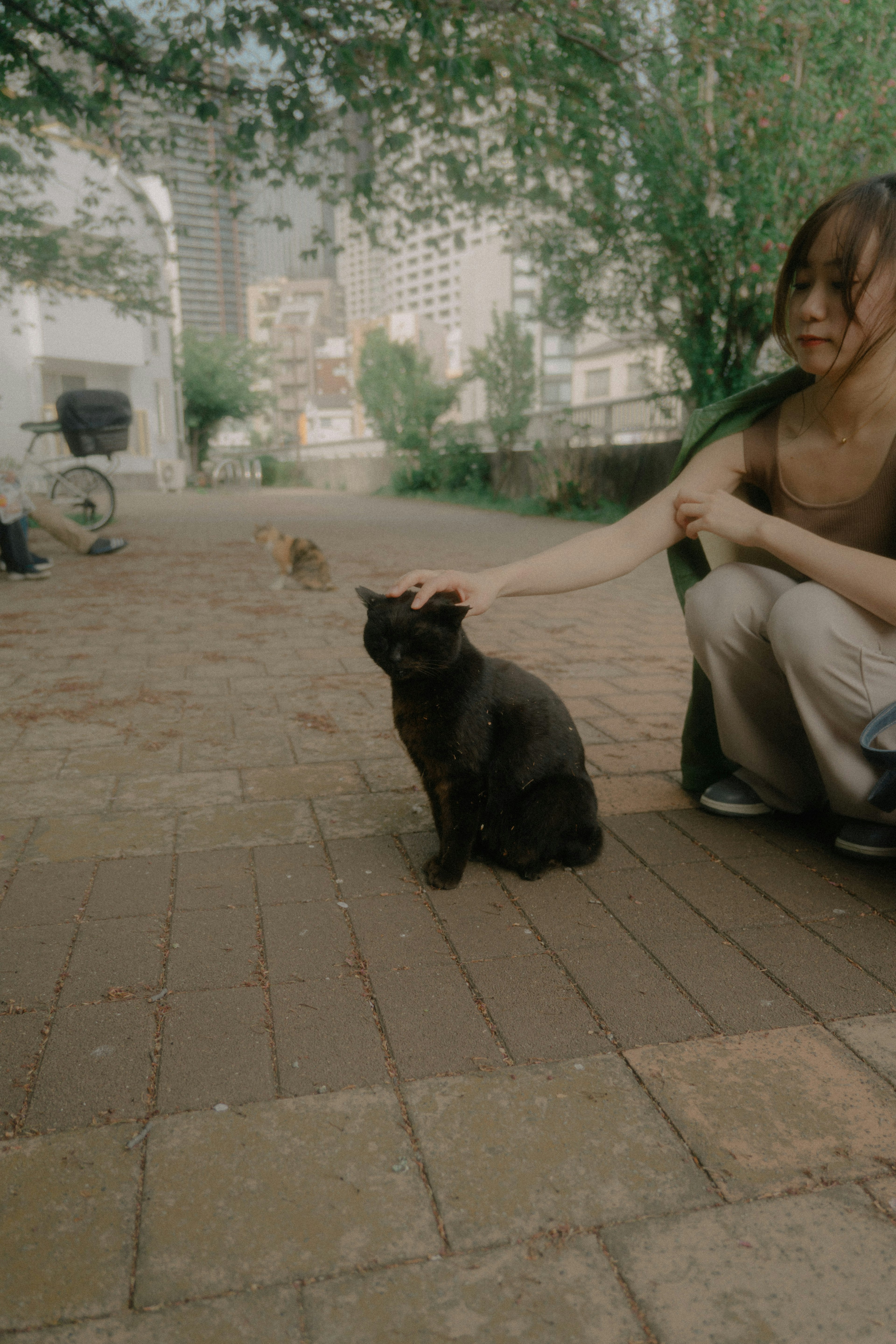 Una donna accarezzando un gatto nero in un parco